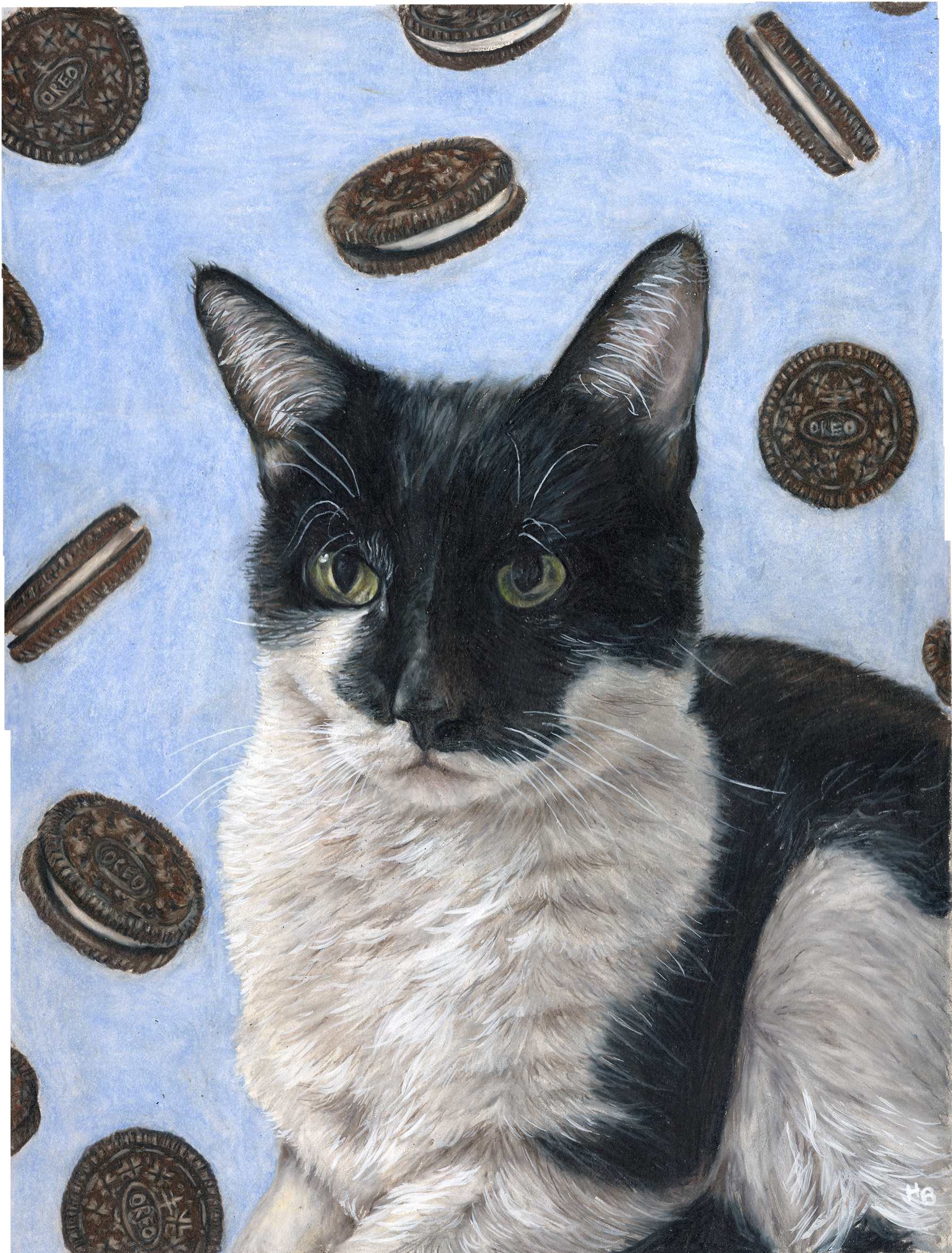 Oreo Wbsite.png