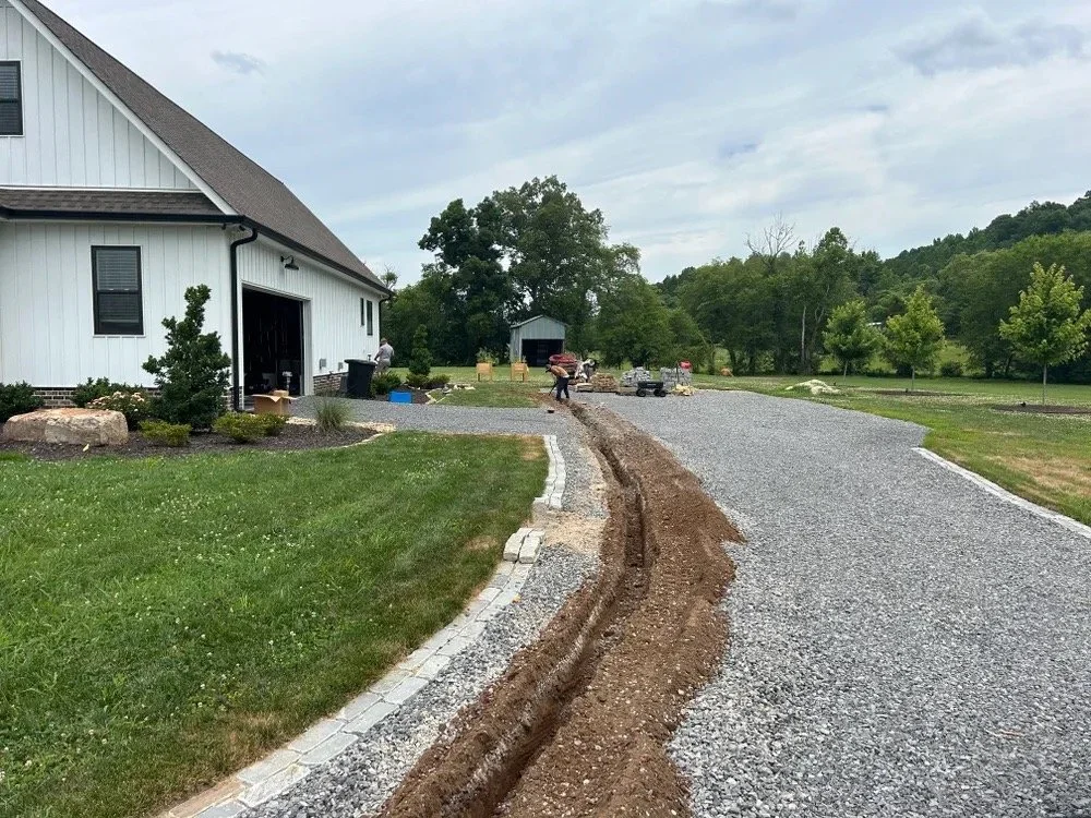 79e05403-8507-4c52-8295-308413cdf198 Large.jpeg