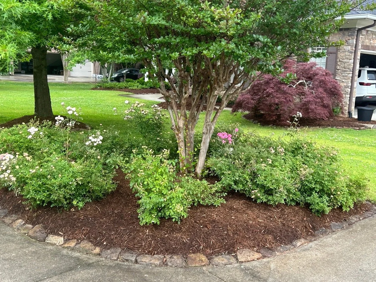 7d081e46-c7d1-4782-b8f0-c63aeb1ad363 Large.jpeg