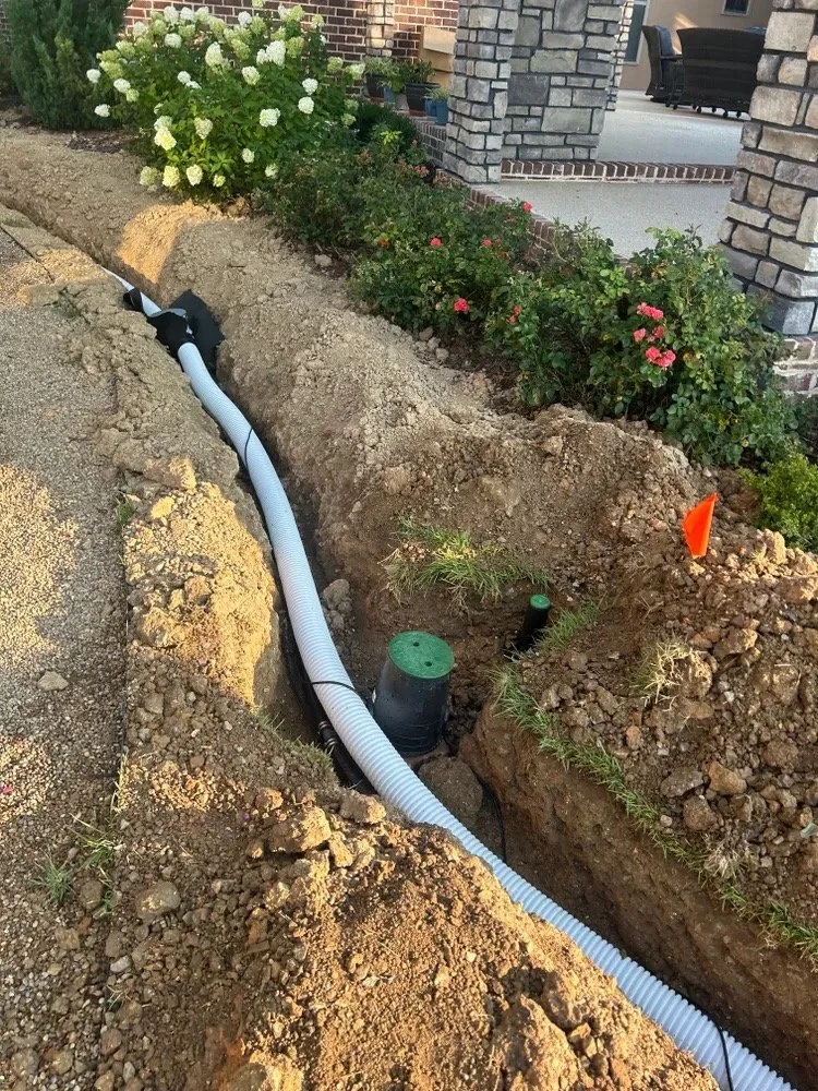 aaa67f84-5923-4d87-ba92-3cc087842b5f Large.jpeg