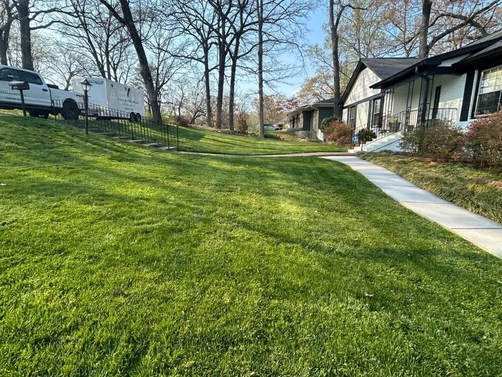 6edf0320-4f21-44ed-a9ab-b4a0fbbf6aa2 Large.jpeg