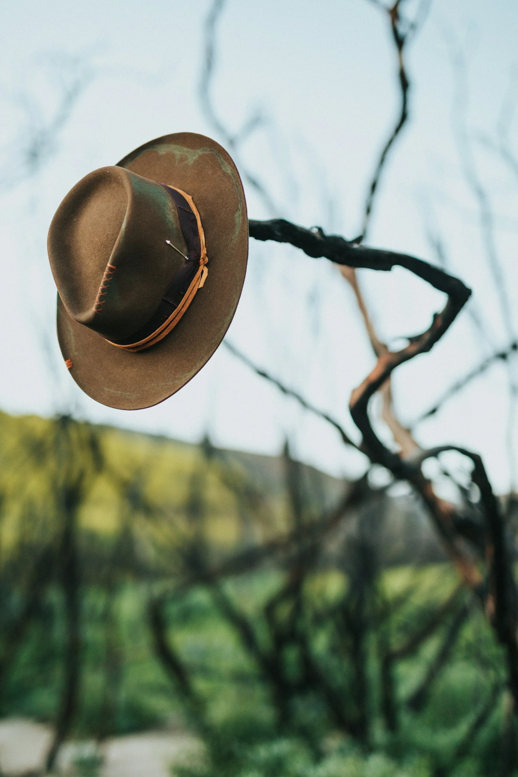 A brown cowboy hat with a black band hanging on the black branches of a leafless tree against a blue sky and distant greenery.