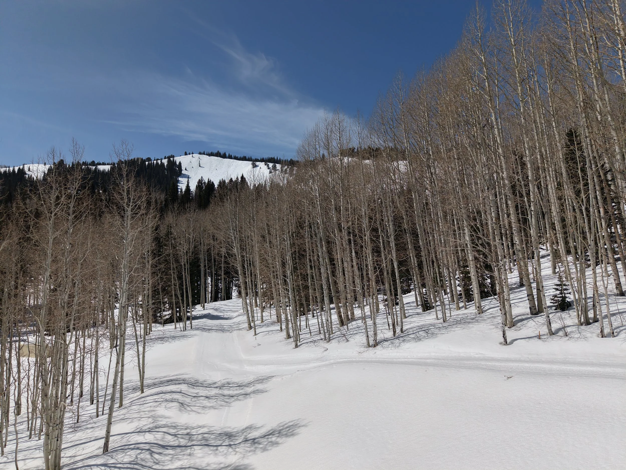 W11. DJI_20250409123738_0075_D.JPG