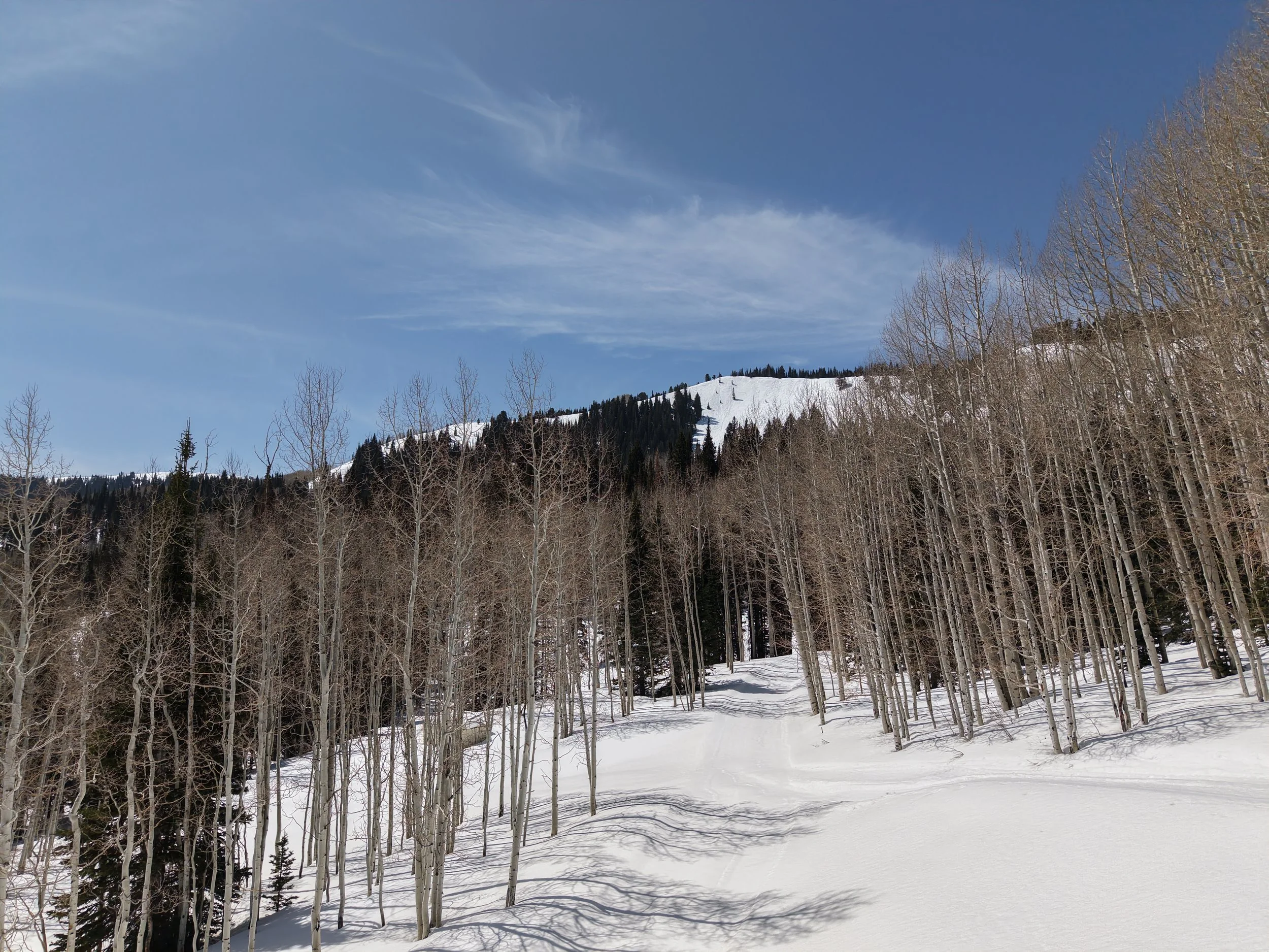 W14. DJI_20250409123945_0084_D.JPG