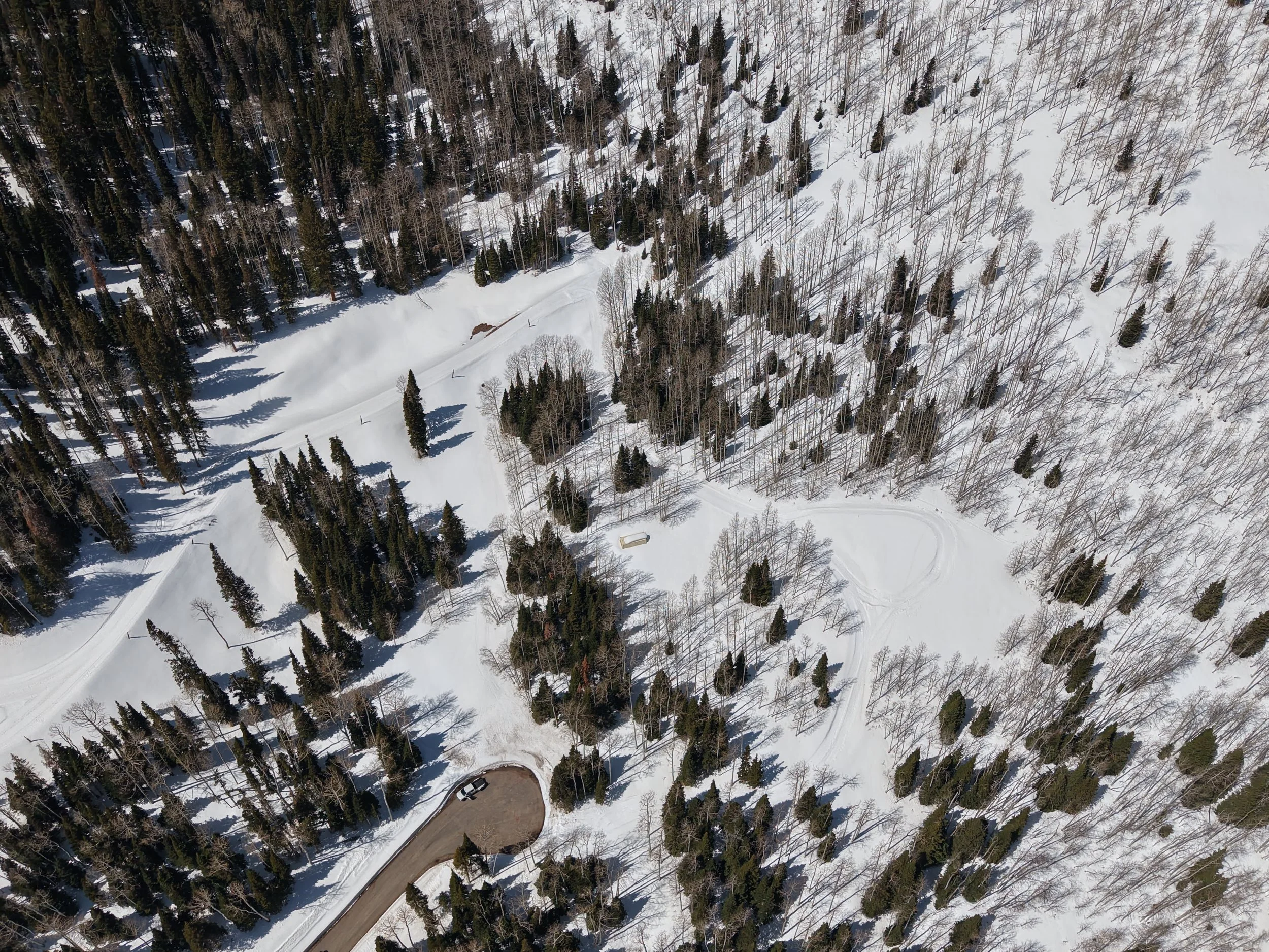 W23. DJI_20250409124851_0103_D.JPG