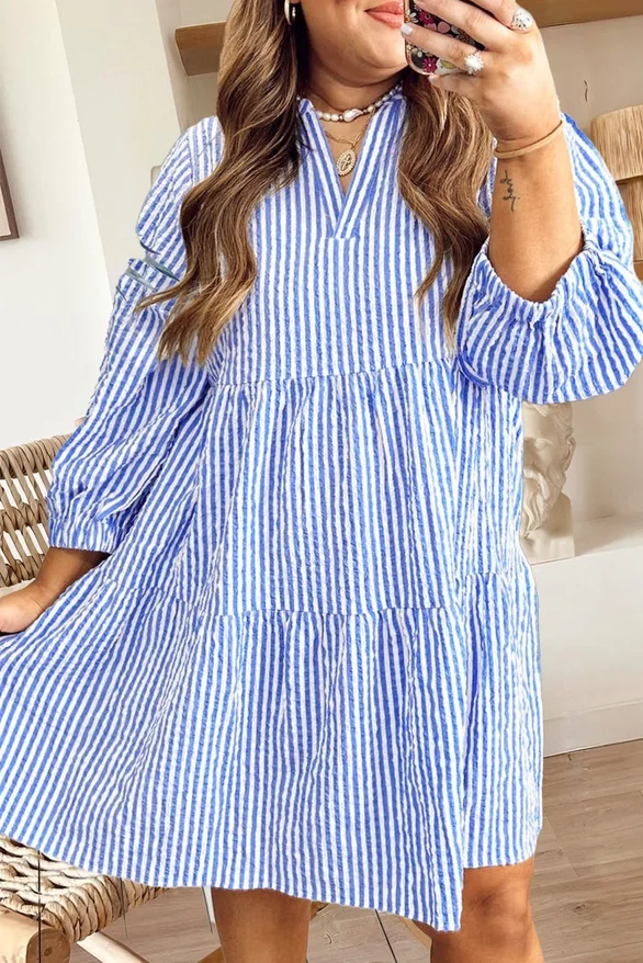 Blue Stripe Dress - Adult Preorder