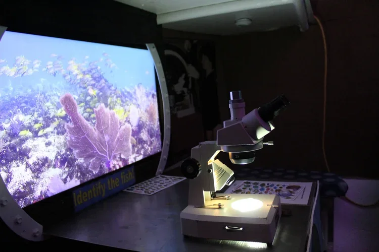 A microscope on a table with a colorful underwater coral reef photo on a curved monitor behind it, and a book or magazine beside the microscope.
