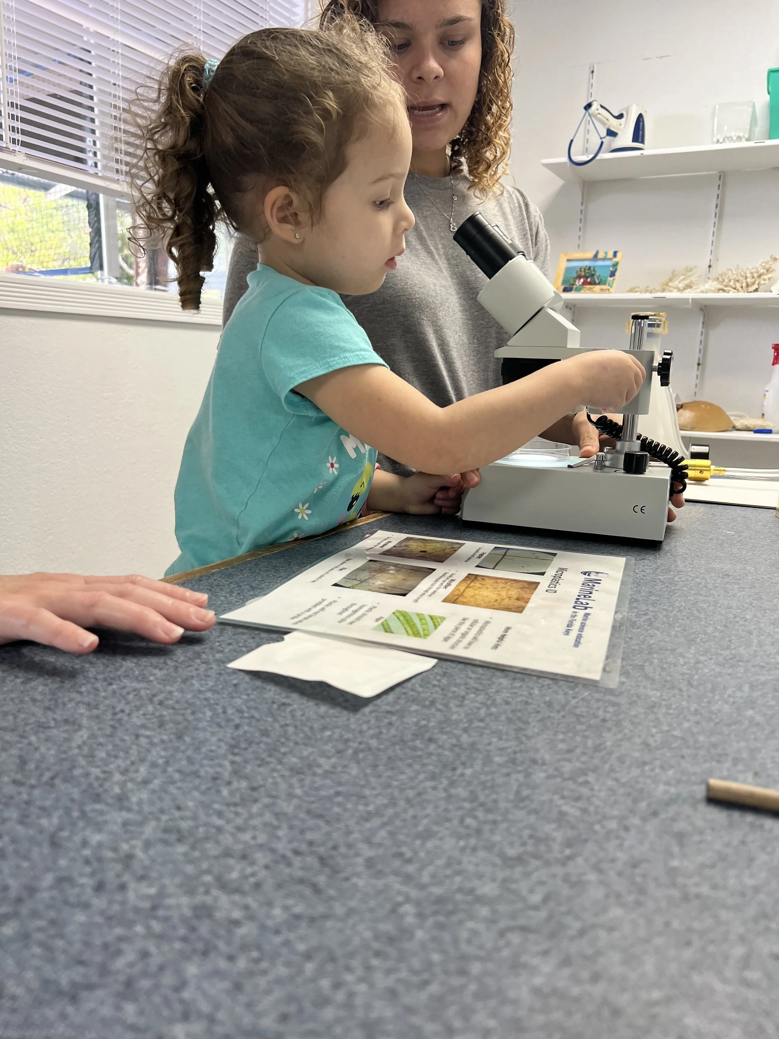 A young girl and a woman are looking through a microscope on a lab table, with scientific papers and pamphlets in front of them. The room has a window with blinds and shelves with various items in the background.