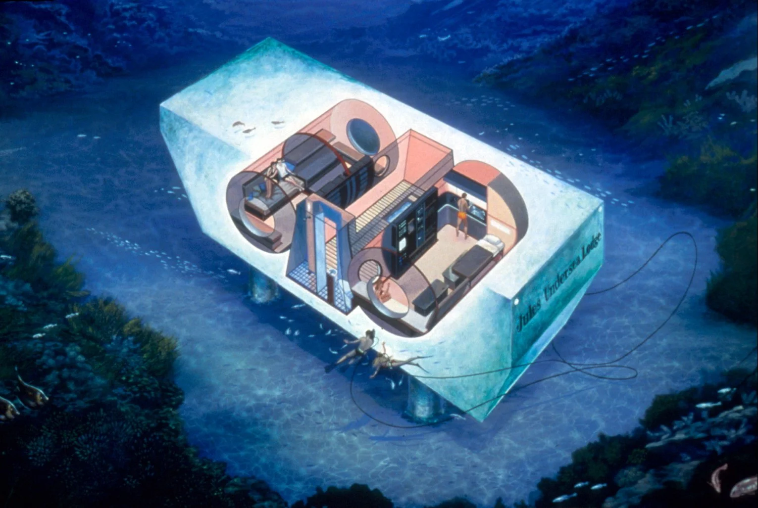Artist's rendition of the general structure of the habitat