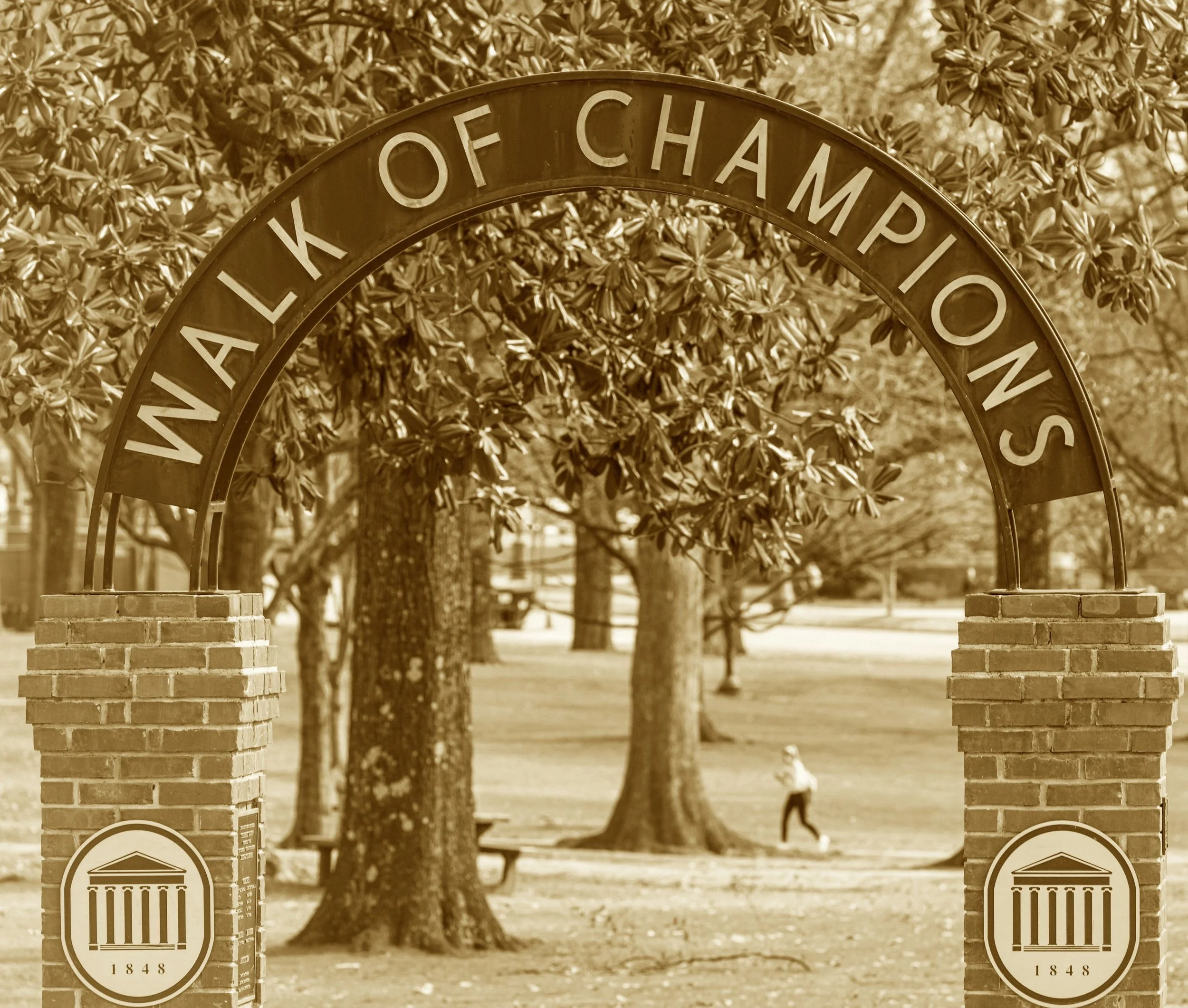 They’ve never topped the football polls,
But lead the world in tailgate goals.
Through tents with lace and cocktail grace,
The Rebels march with practiced pace.
This arch now crowns the Grove parade—
For every champ the fans have made.