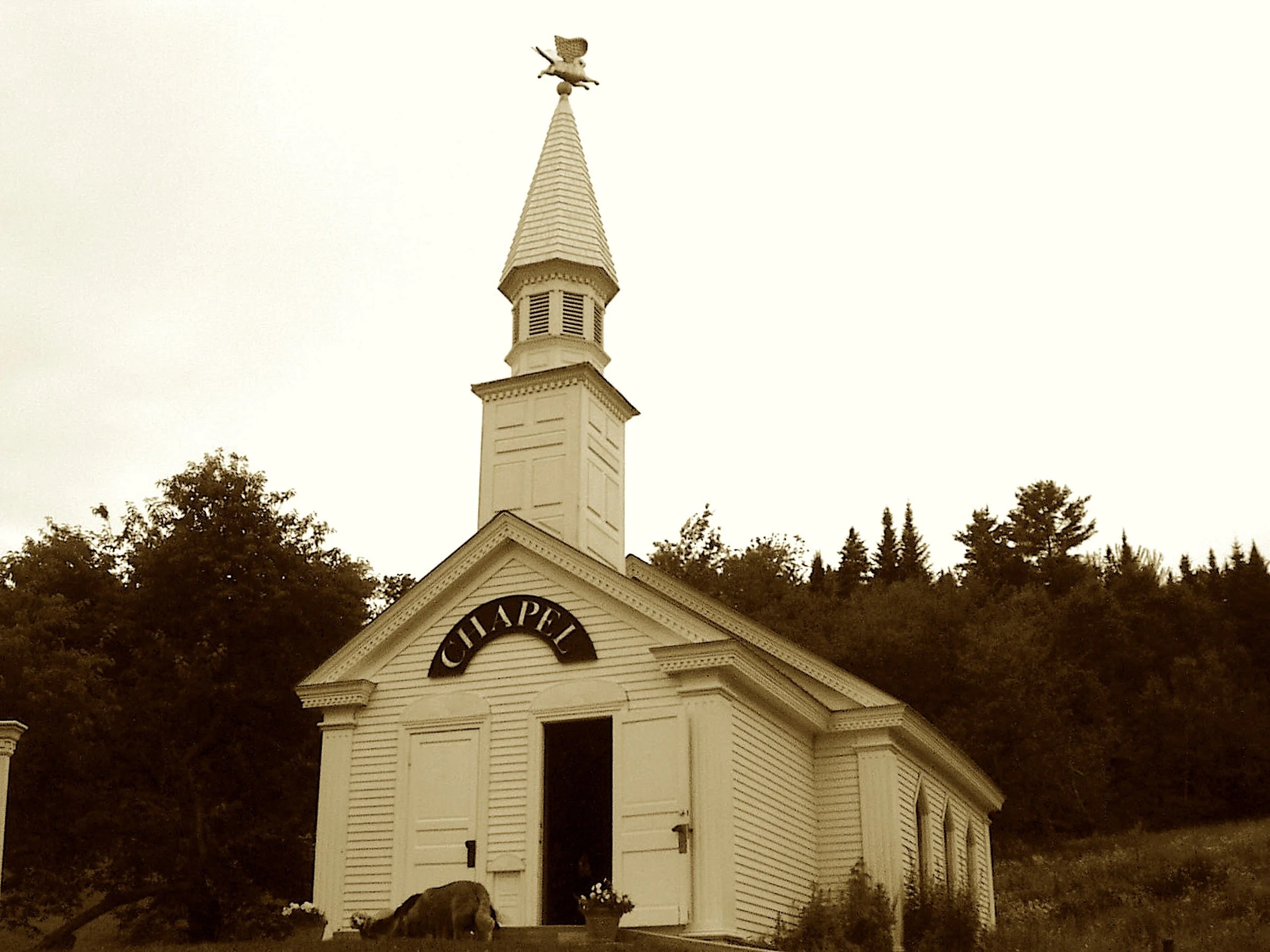 A chapel raised for dogs who’ve gone,
With pews and glass where pups live on.
The sign says “No dogmas” near the trail,
Where joy and fur still wag the tail.
In art and bark, this mountain shrine
Lets every grieving heart align.