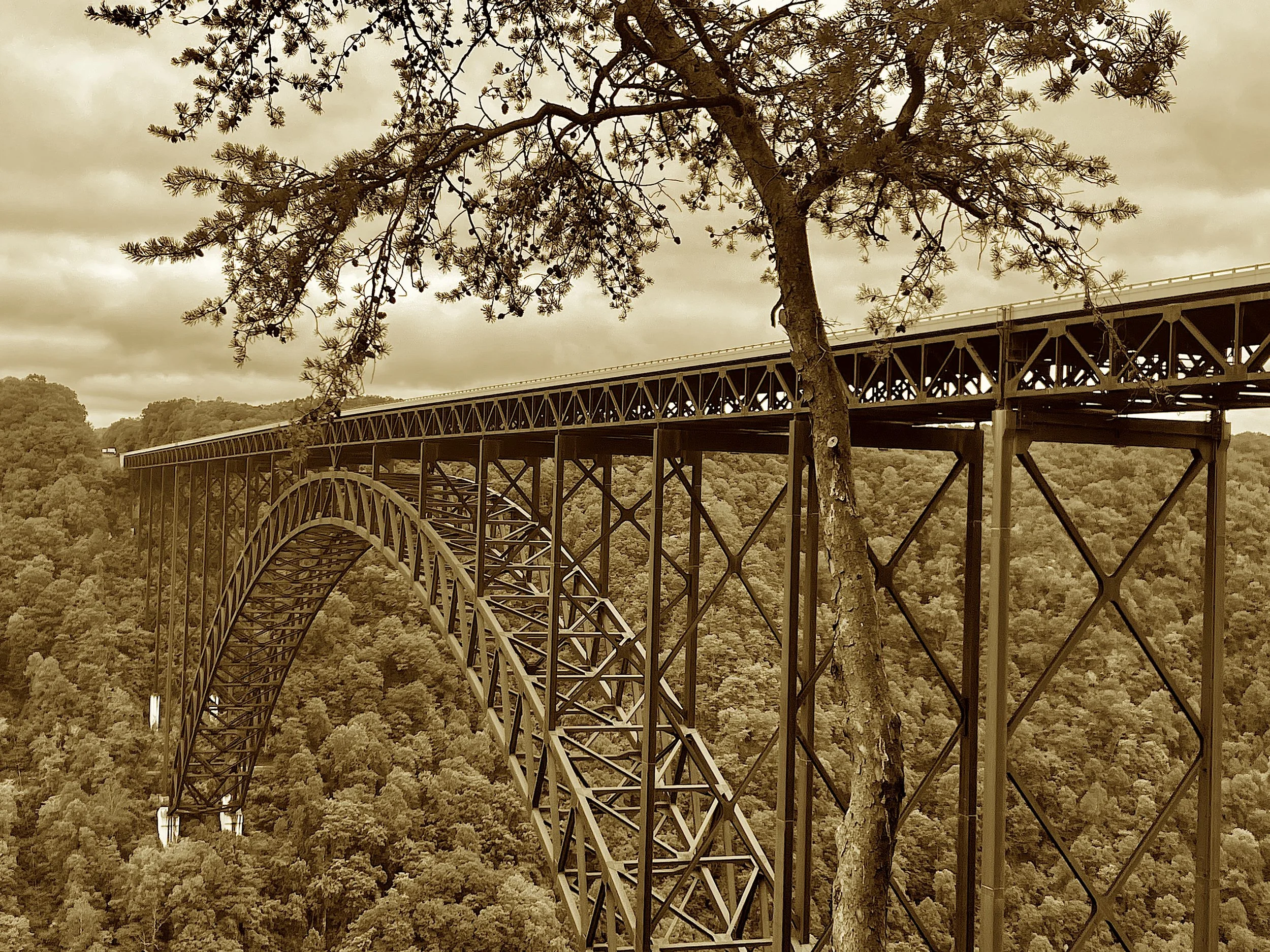 One span to rule the skies with grace,
It shaved off time and raised the place.
The quarter bore its arched delight,
And jumpers leap in joyful flight.
Each Bridge Day draws a skyward throng—
Where spans and stories both are strong.
