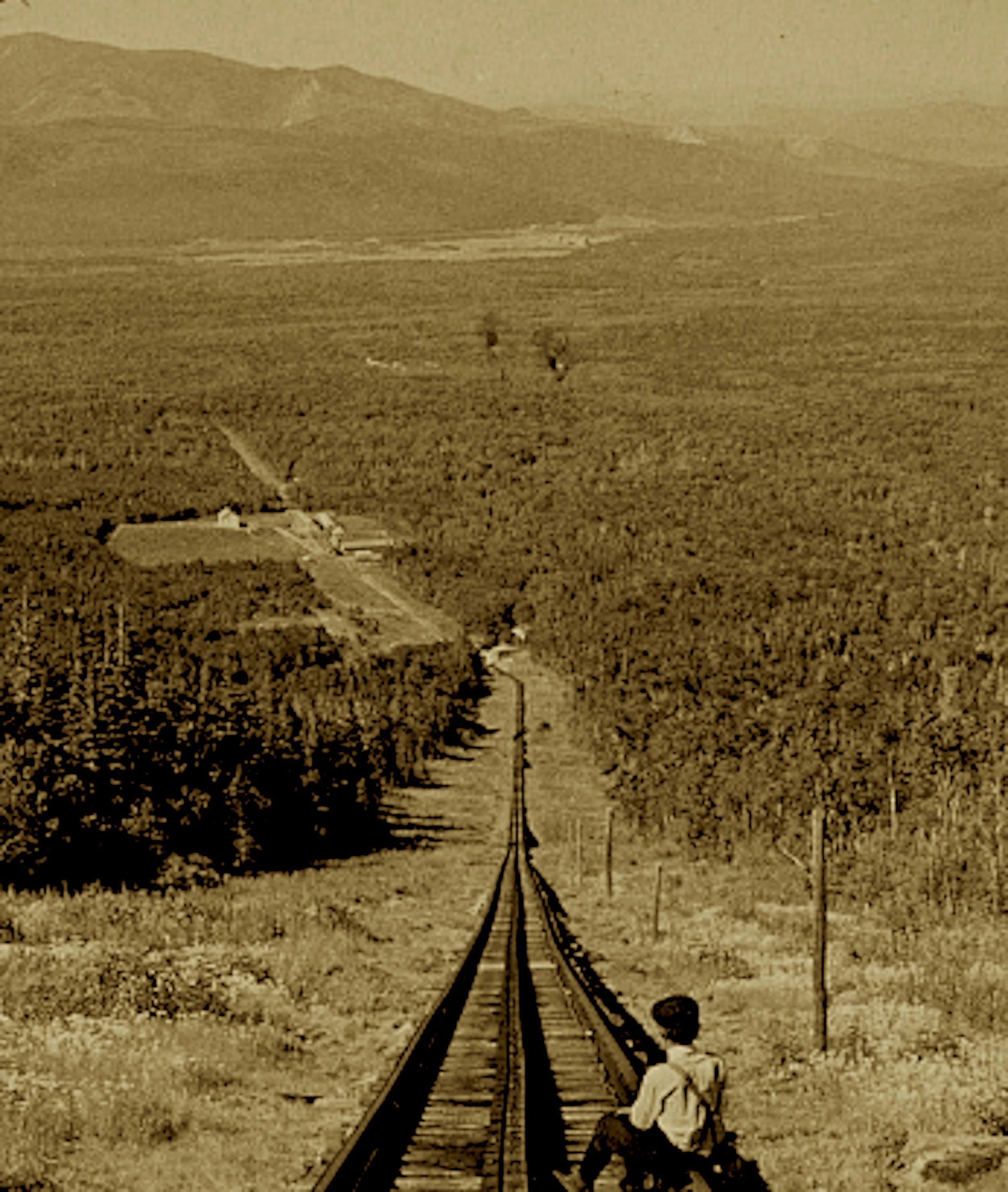 A railway that climbs where the air’s crisp and high,
With gears that once reached to the clouds in the sky.
Old Peppersass puffed to the summit with pride—
The world’s first cog rail on a mountainside ride.
