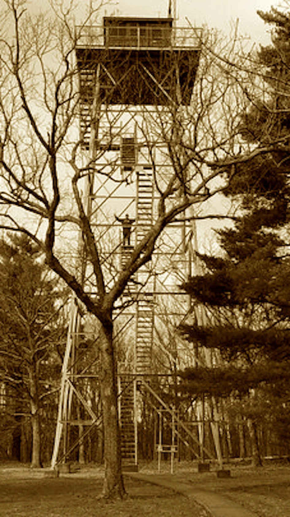 Missouri’s peak offers no vista at all,
But the tower nearby lets your vision stand tall.
Once scouts of the forest watched fires in fright,
Now visitors climb just to capture the sight.