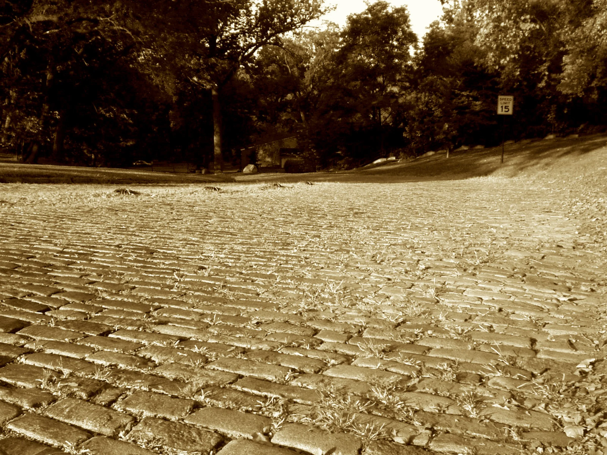 They call it Monkey, though no apes run—
Just granite blocks and cycling fun.
Tour DuPont dared to race it fast,
Where zoo paths and roadways once were cast.
Belgian blocks that jolt your teeth—
The cobblestone kings of the Brandywine Heath.