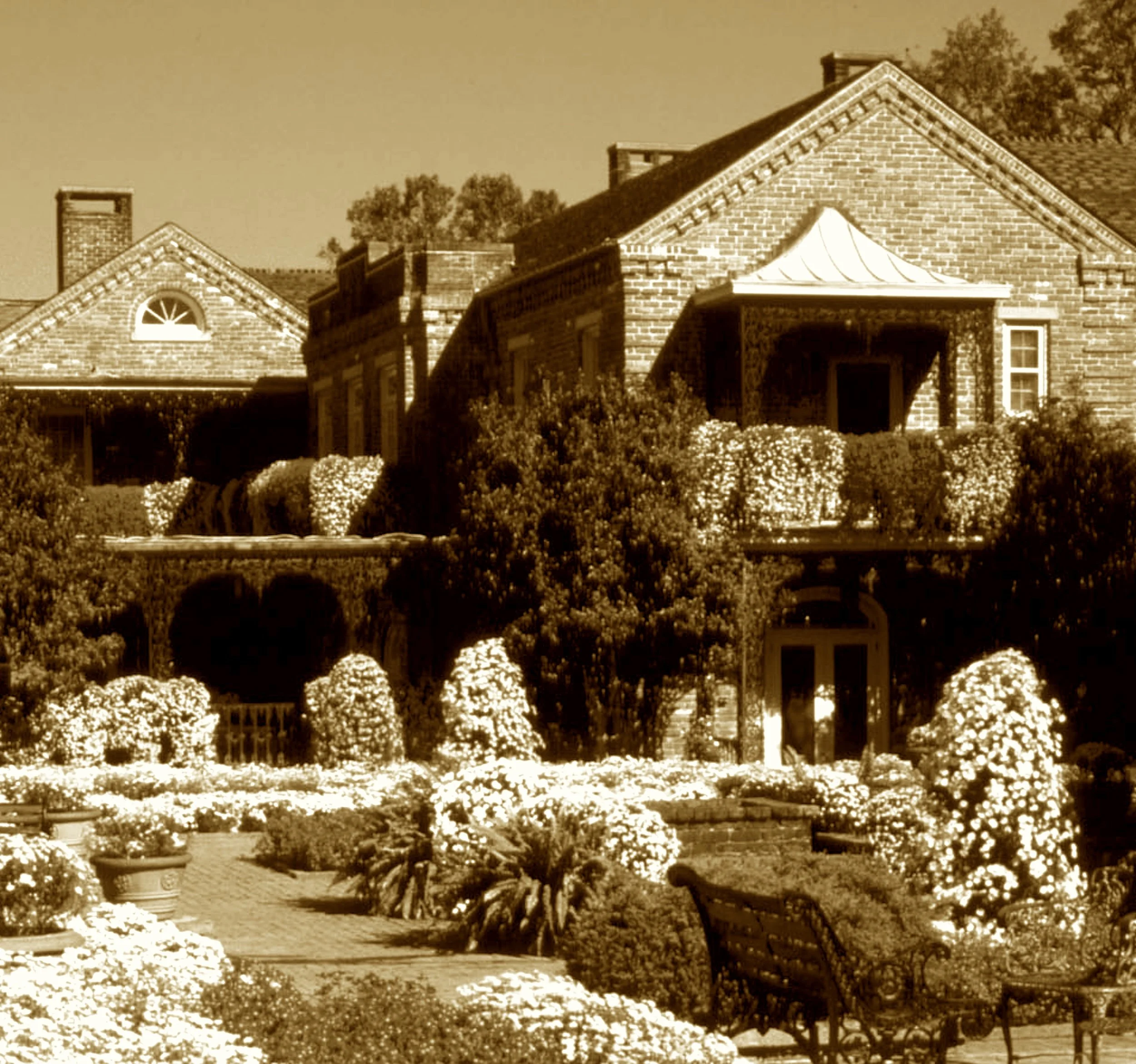 A fish camp bloomed by Bessie’s hand,
With azaleas brushed across the land.
A garden vast, a Coke king’s grace,
In bloom became a public place.
Through tiles and trails the blossoms roam—
Alabama’s sweetest garden home.