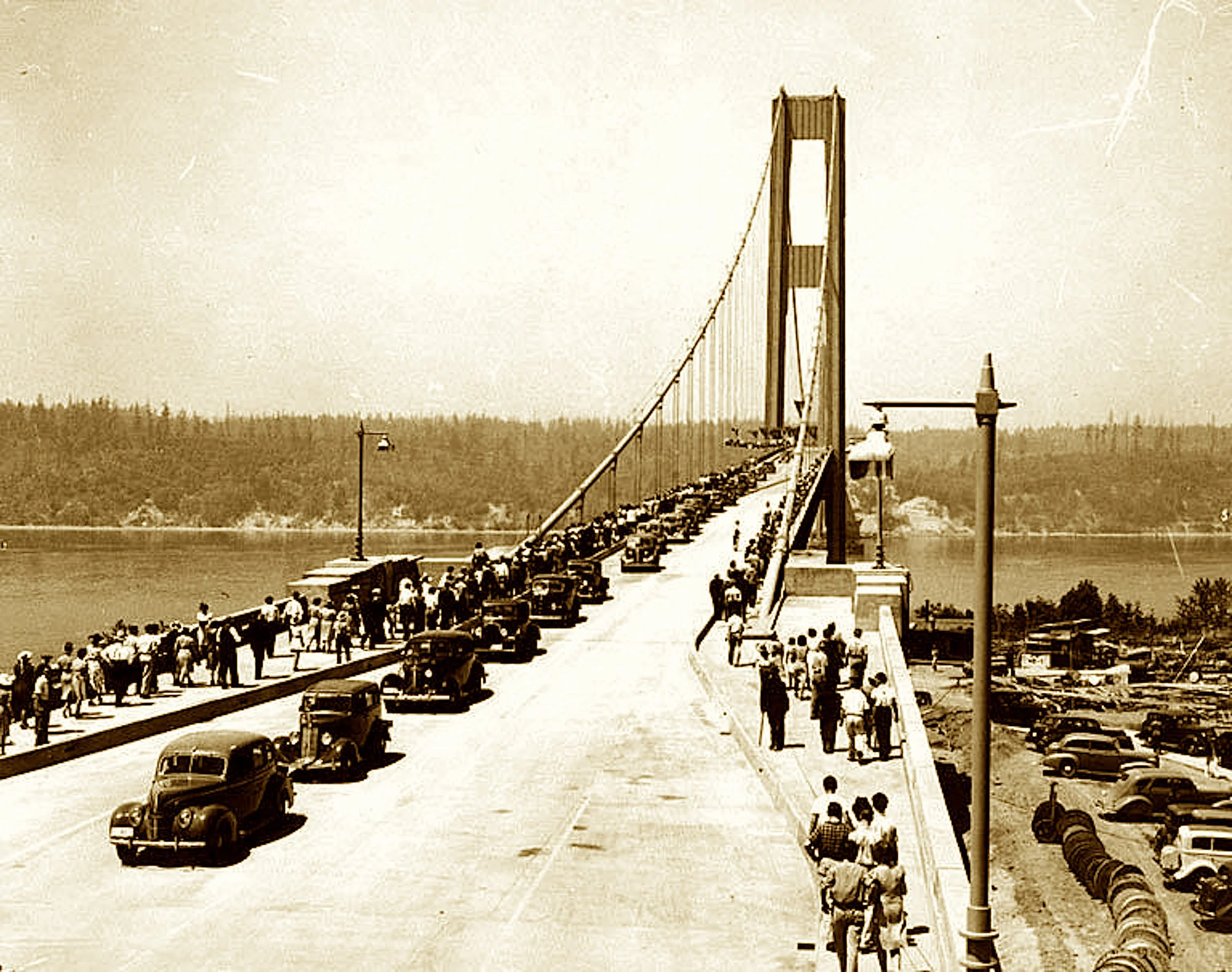 They built it too slim and gave it a name,
“Galloping Gertie” earned dubious fame.
It twisted and groaned and dropped from the sky,
As Tubby the pup was too frightened to try.
Now engineers study that crash with a sigh,
Of how not to build as the car