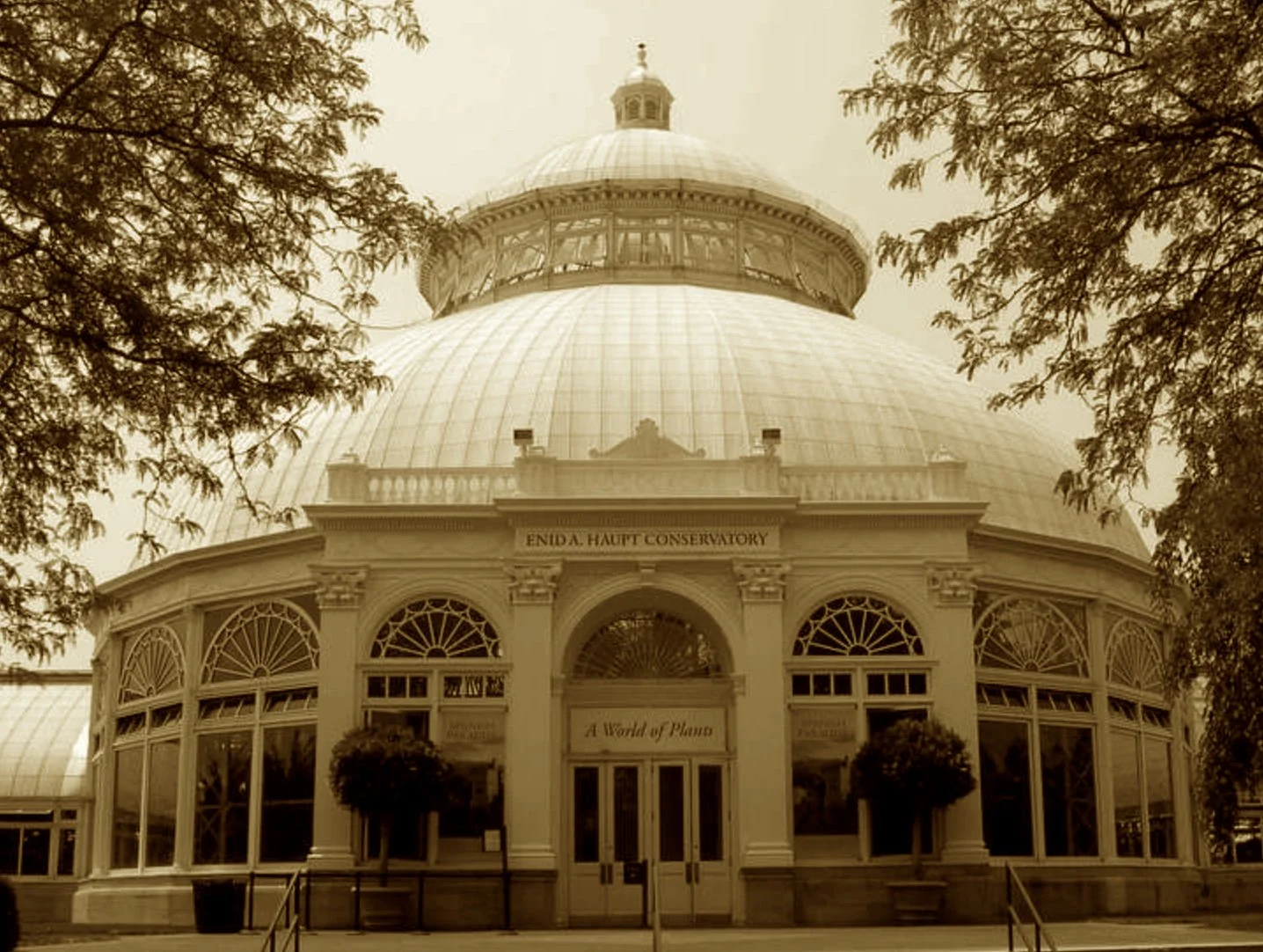 A theater for the bloom and vine,
Where glass domes catch the day’s decline.
One million plants in poised display—
From tropic palms to alpine spray.
Though late to grow, its roots run deep,
A Bronx-bound Eden in city’s sweep.