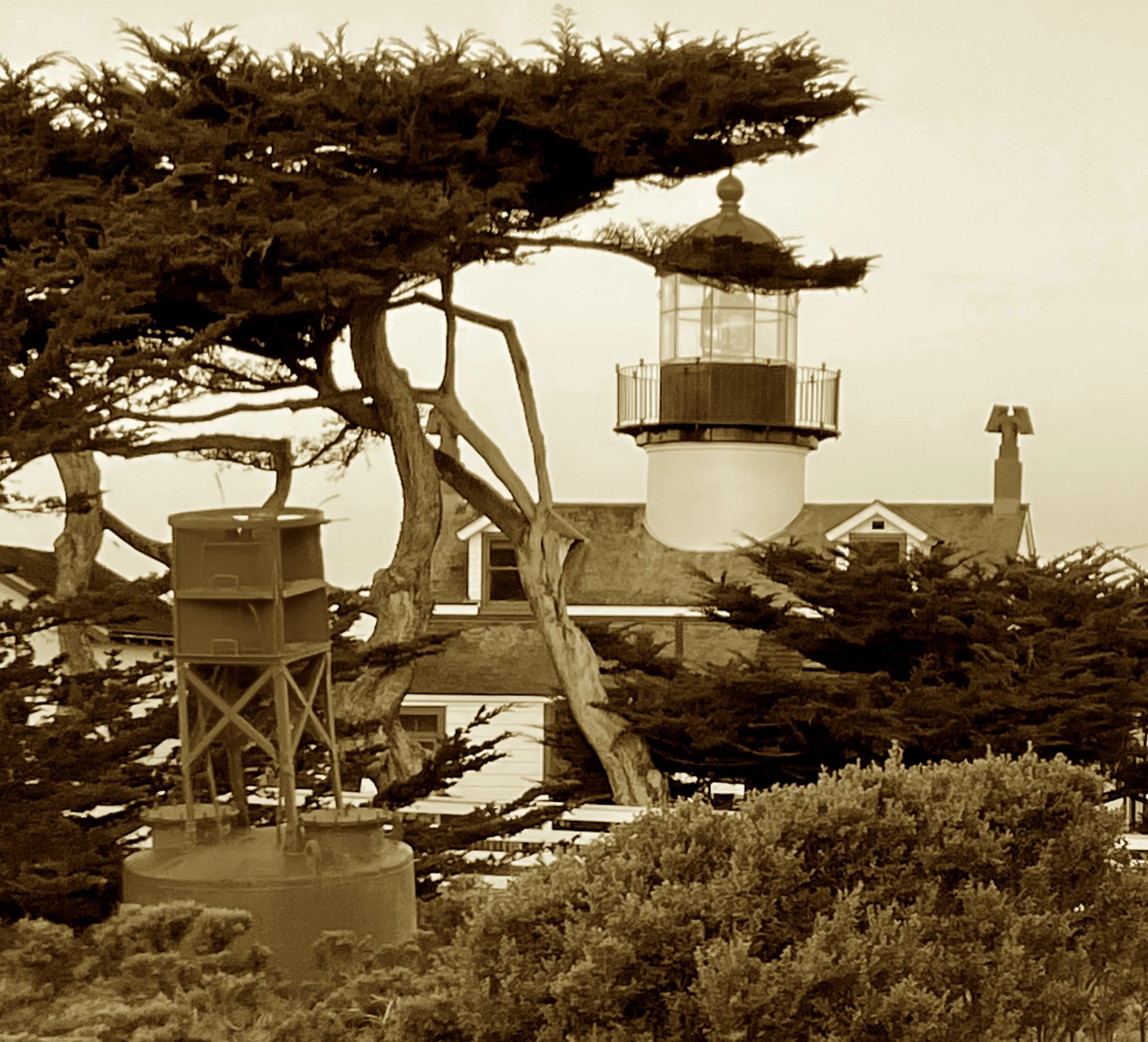 A cottage cast in East Coast mold,
Its beam still shines through breezes cold.
From French-made lens to coastal stone,
It stands alert and quite alone—
The oldest light still shining true
Where land meets surf and foggy view.