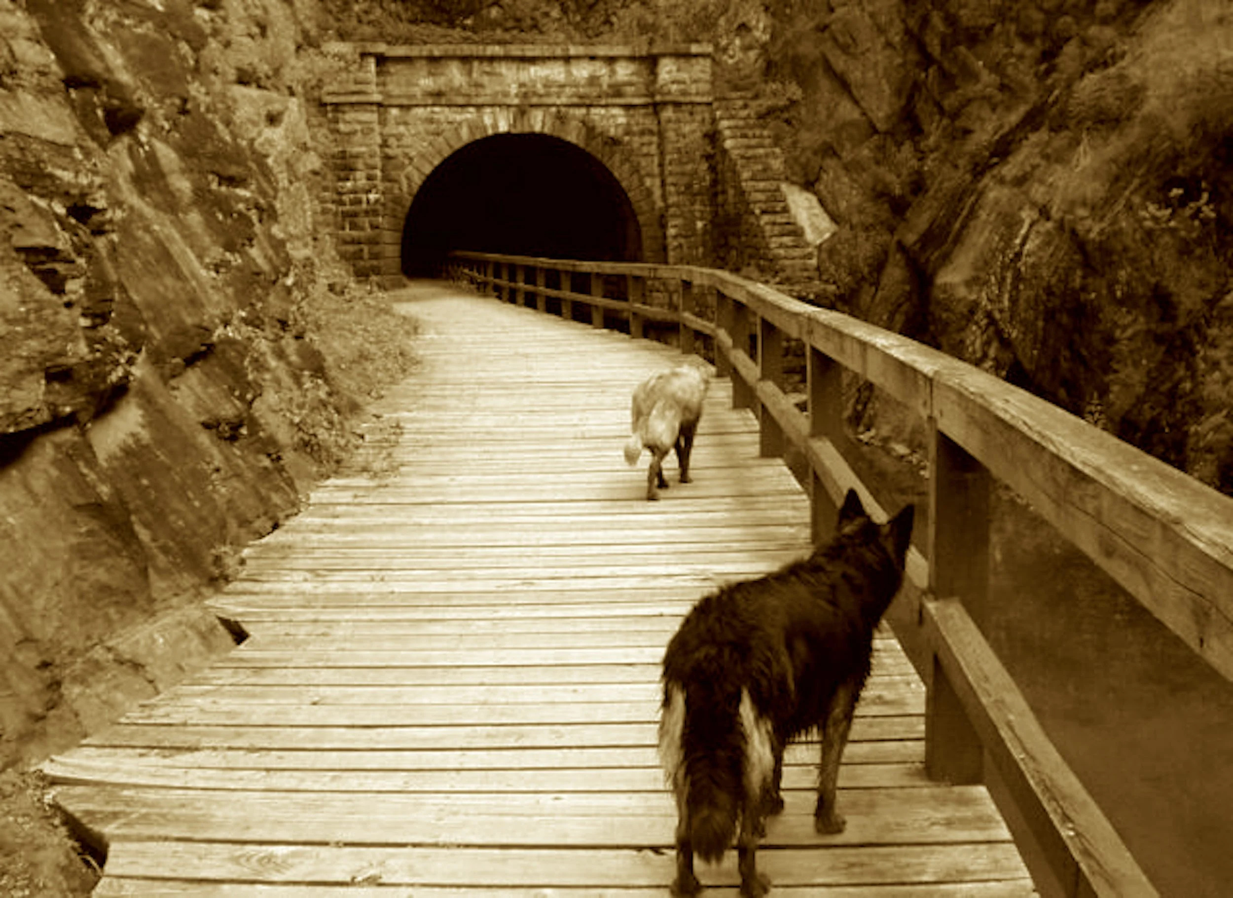 They tunneled through shale with slow, stubborn might,
By lantern’s flicker and grit’s dim light.
A brick-walled marvel the river defied—
Where George’s canal dream nearly died.