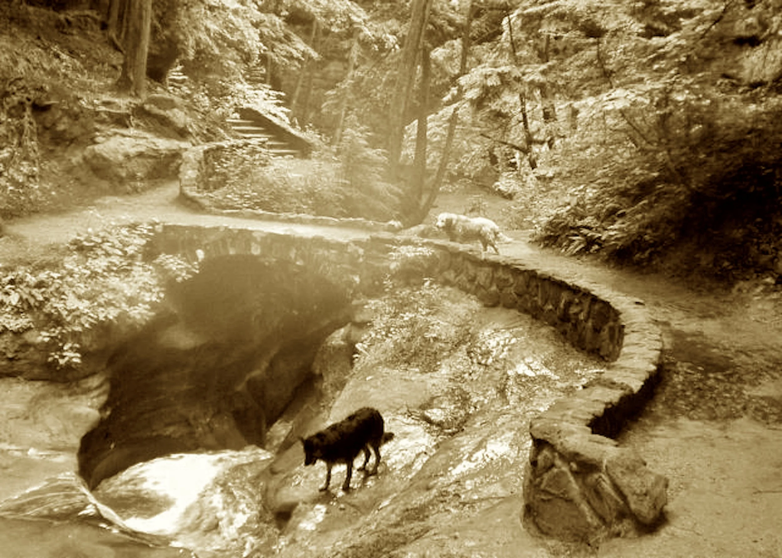 Glacial walls and waterfalls flow,
Where ancient ferns and hemlocks grow.
The CCC carved paths by hand,
And built stone bridges to span the land.
Ohio’s crown of outdoor grace,
Draws millions yearly to this place.