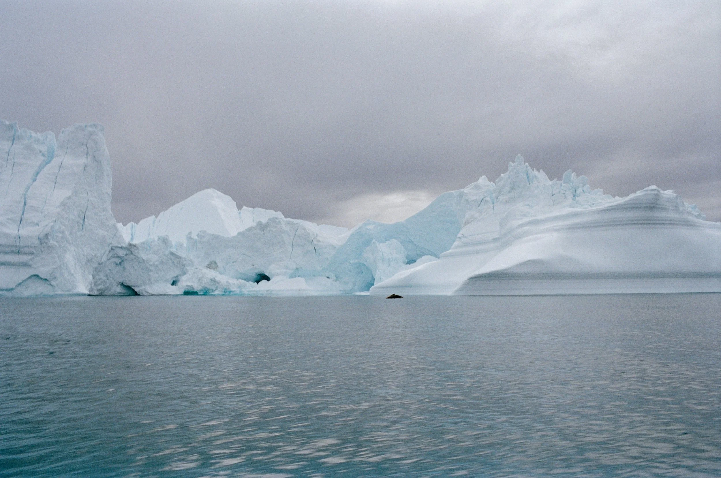 Ilulissat_Whale Tour_9 (1 of 1).jpg