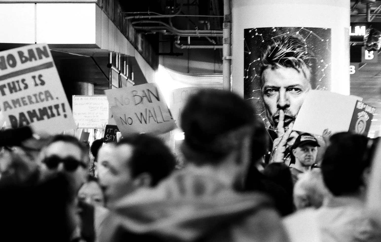Bowie (1 of 1).jpg