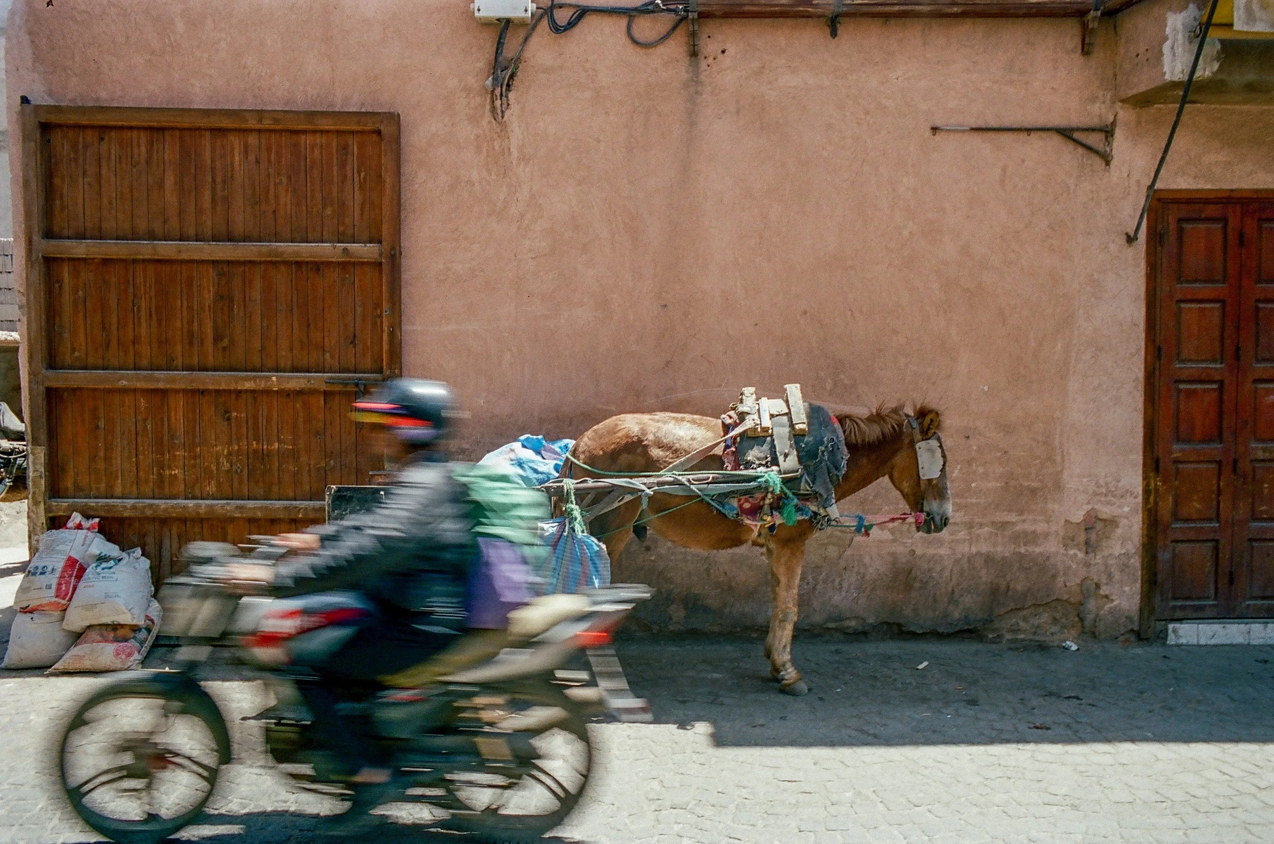 Donkey & Motorbike (1 of 1).jpg