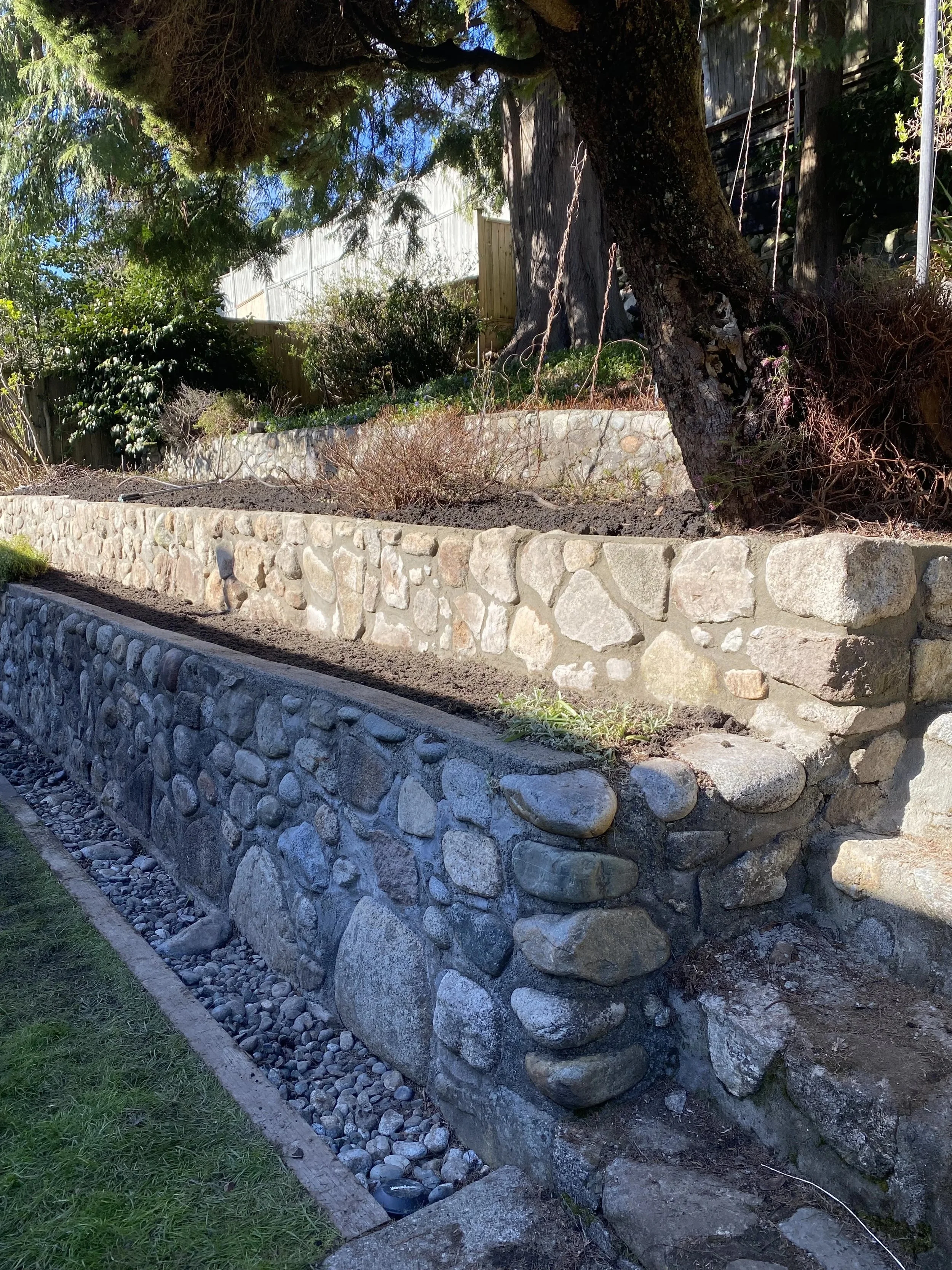 Tiered garden beds with stone walls, soil, and some plants, situated on a grassy slope under a large tree, with a wooden fence in the background.