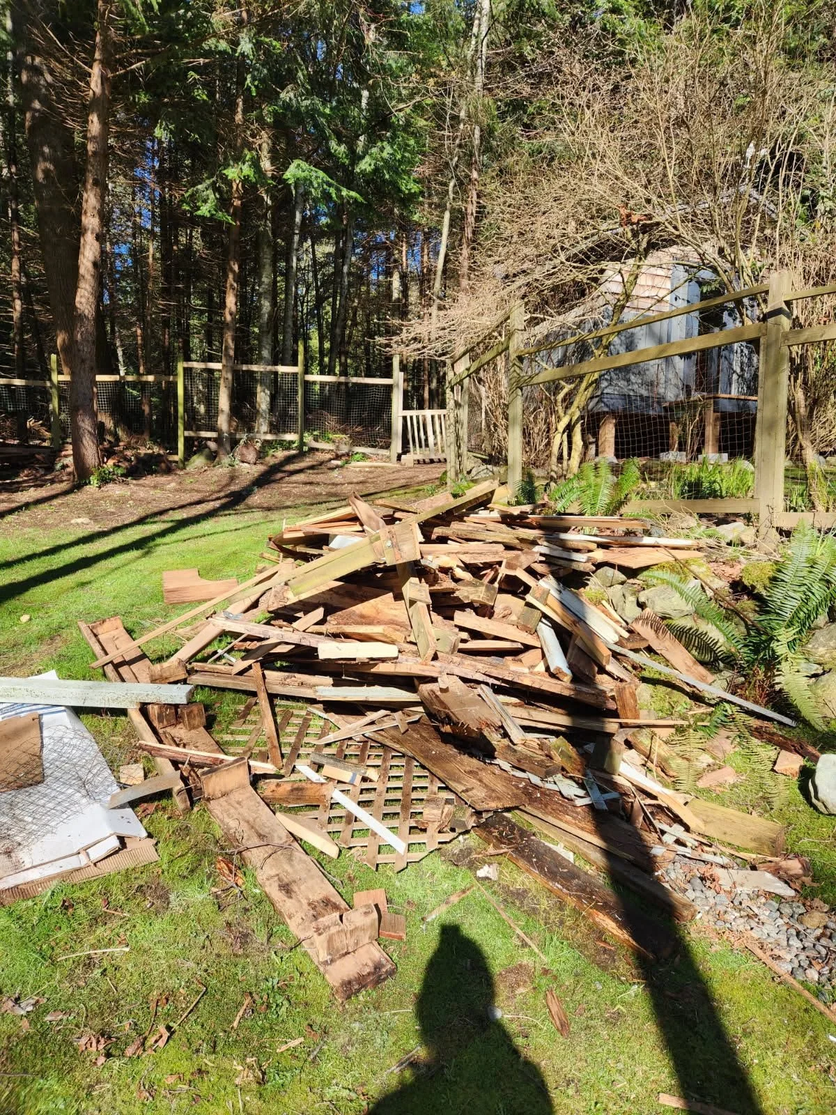 A large pile of broken wooden planks and debris on grass in a backyard, with a wooden fence, trees, and a small shed in the background.