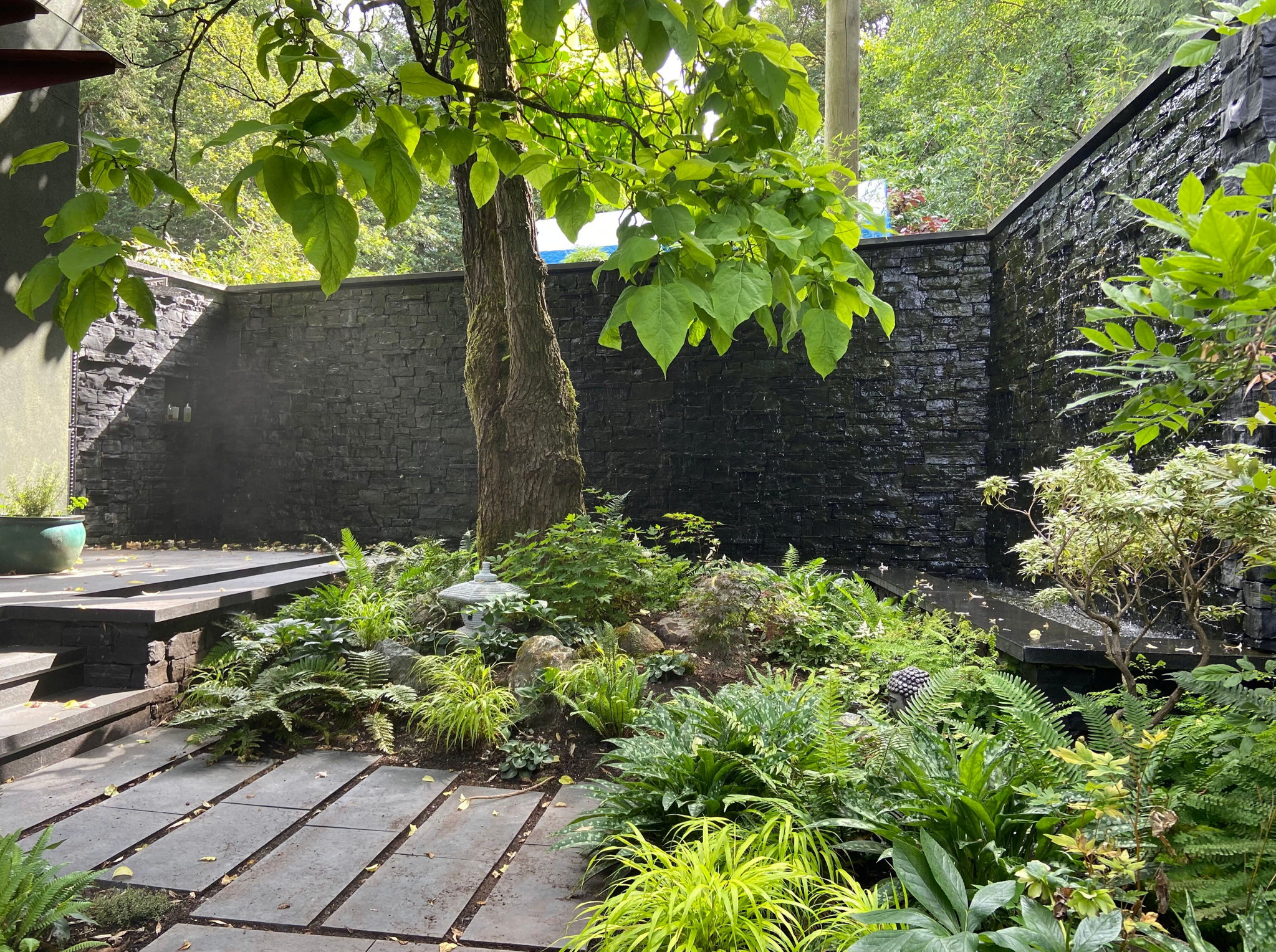 A lush garden with a variety of green plants, a stone pathway, a black stone wall, and a tree with broad leaves. Sunlight filters through the leaves, creating a peaceful outdoor scene.