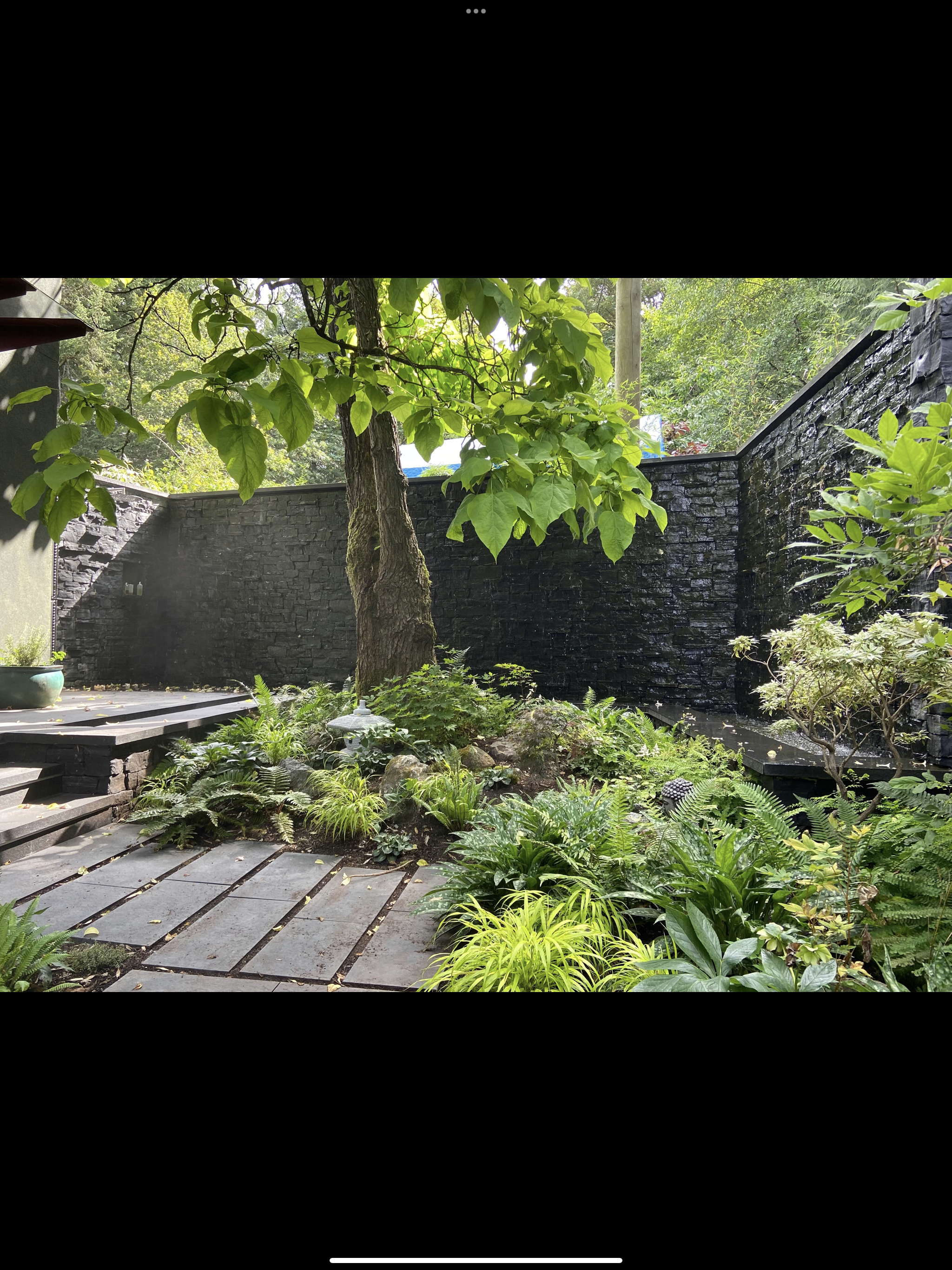 Small secluded garden with a large tree, lush green plants, stone pathway, black stone wall, and steps leading up to an elevated area.
