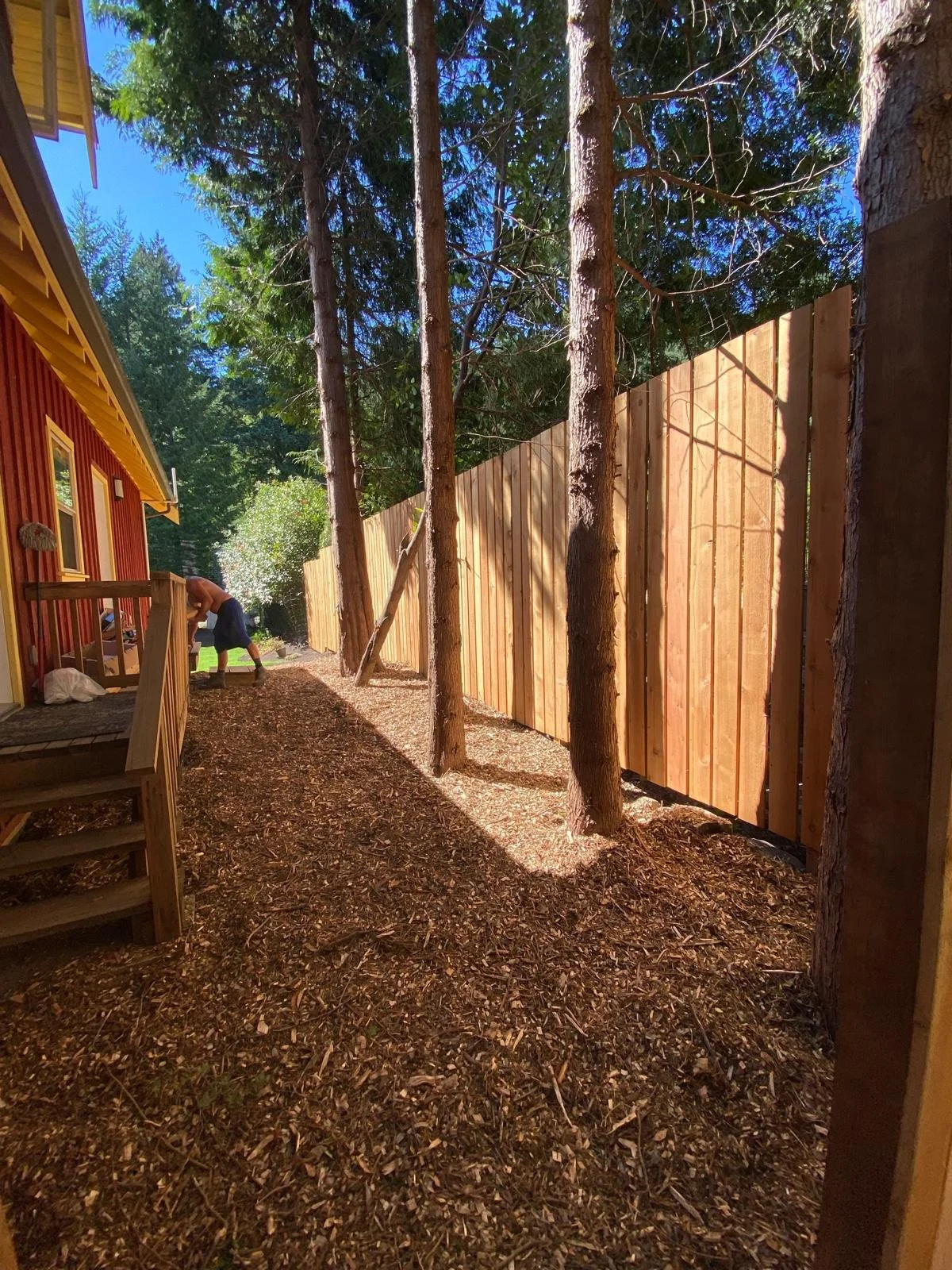 A backyard with a red house on the left, a newly installed wooden fence on the right, and a man working on the deck steps in the background. Tall trees cast shadows on the ground covered with wood chips.