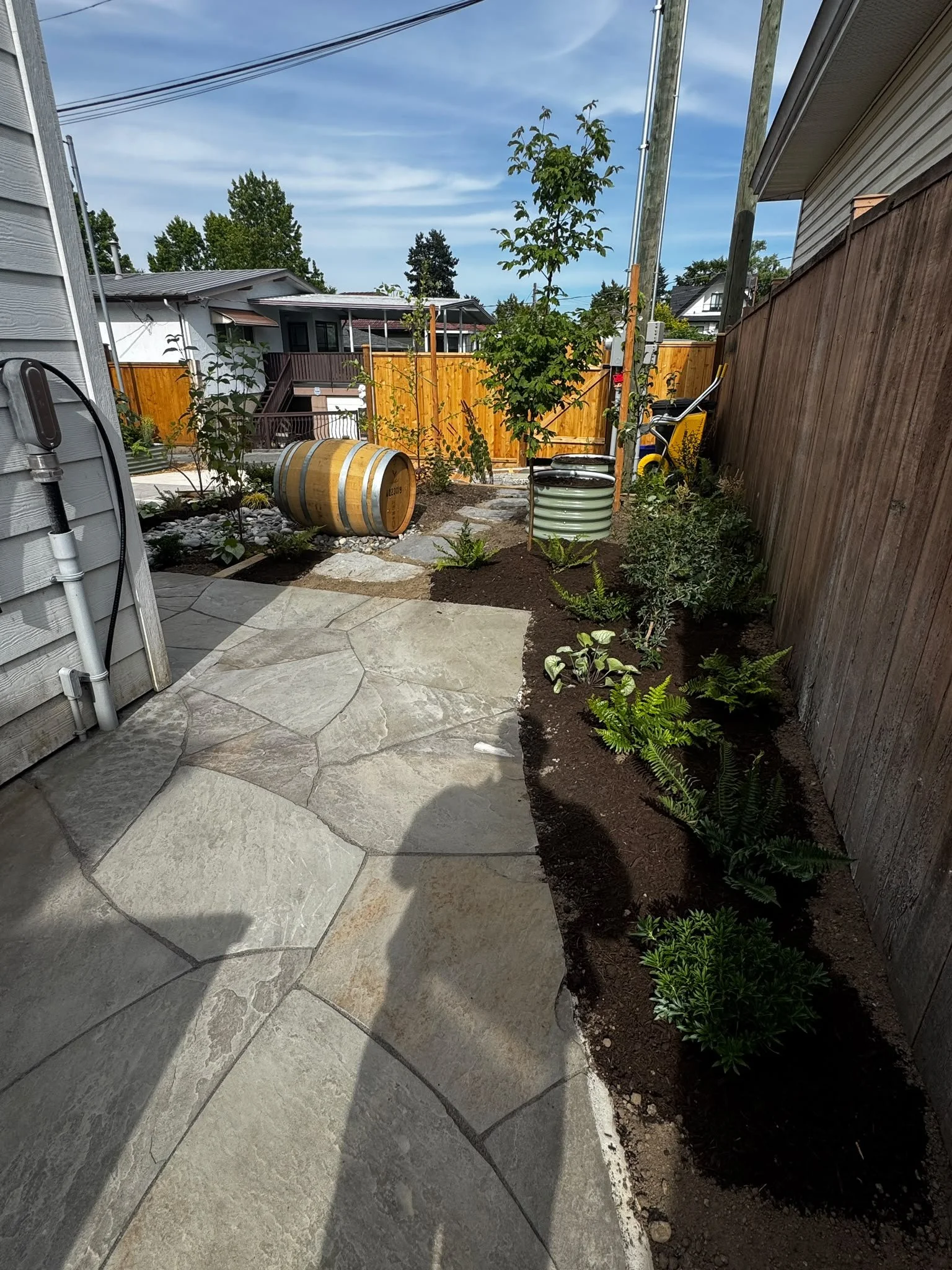 A backyard patio with paver stones on the ground, a newly planted garden bed with small green plants on the right, and a tall tree with green leaves in the center. The background features a wooden fence, utility poles, and neighboring houses with dec