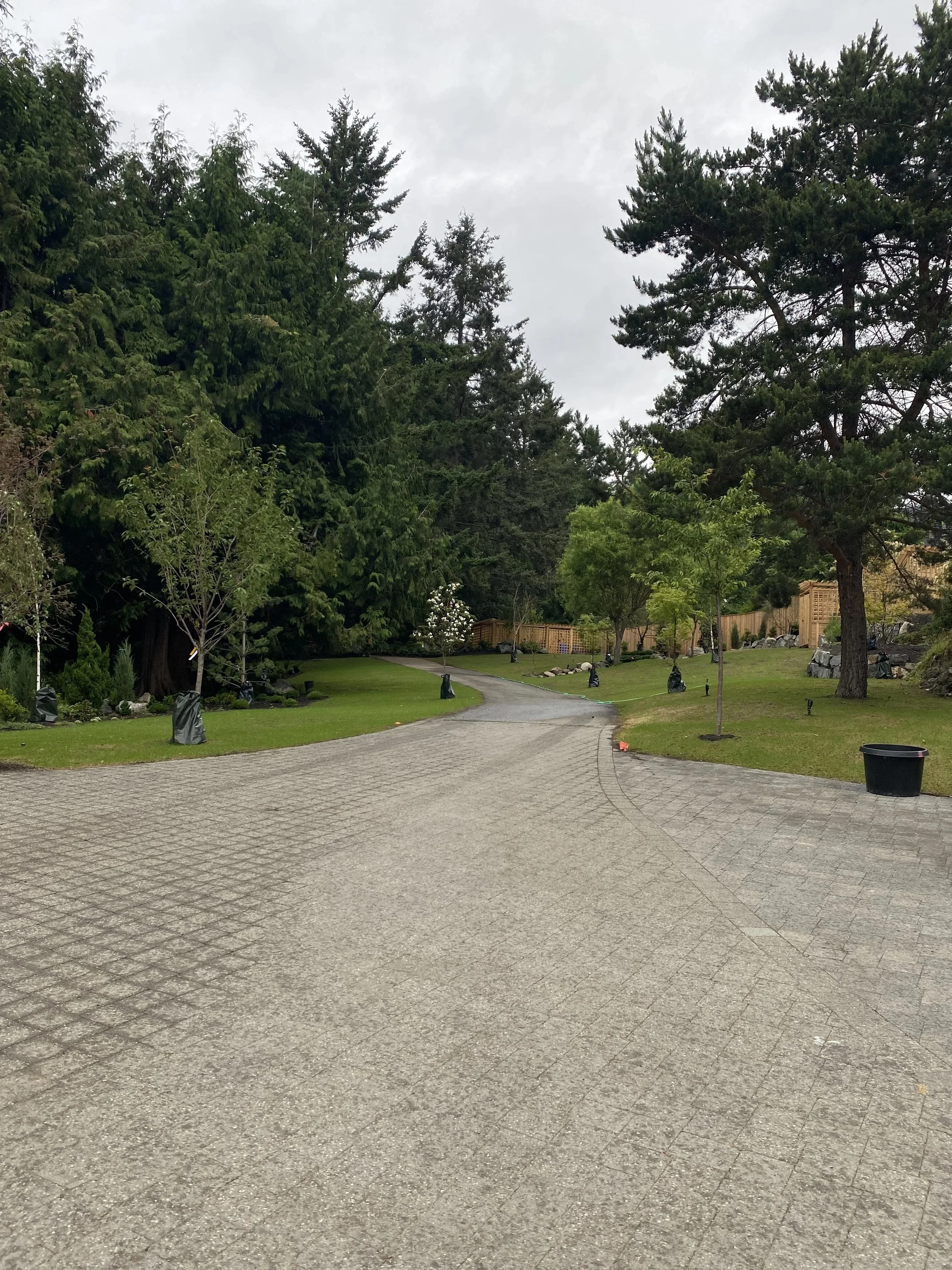 A paved winding driveway in a green yard with trees and a wooden fence in background, overcast sky.