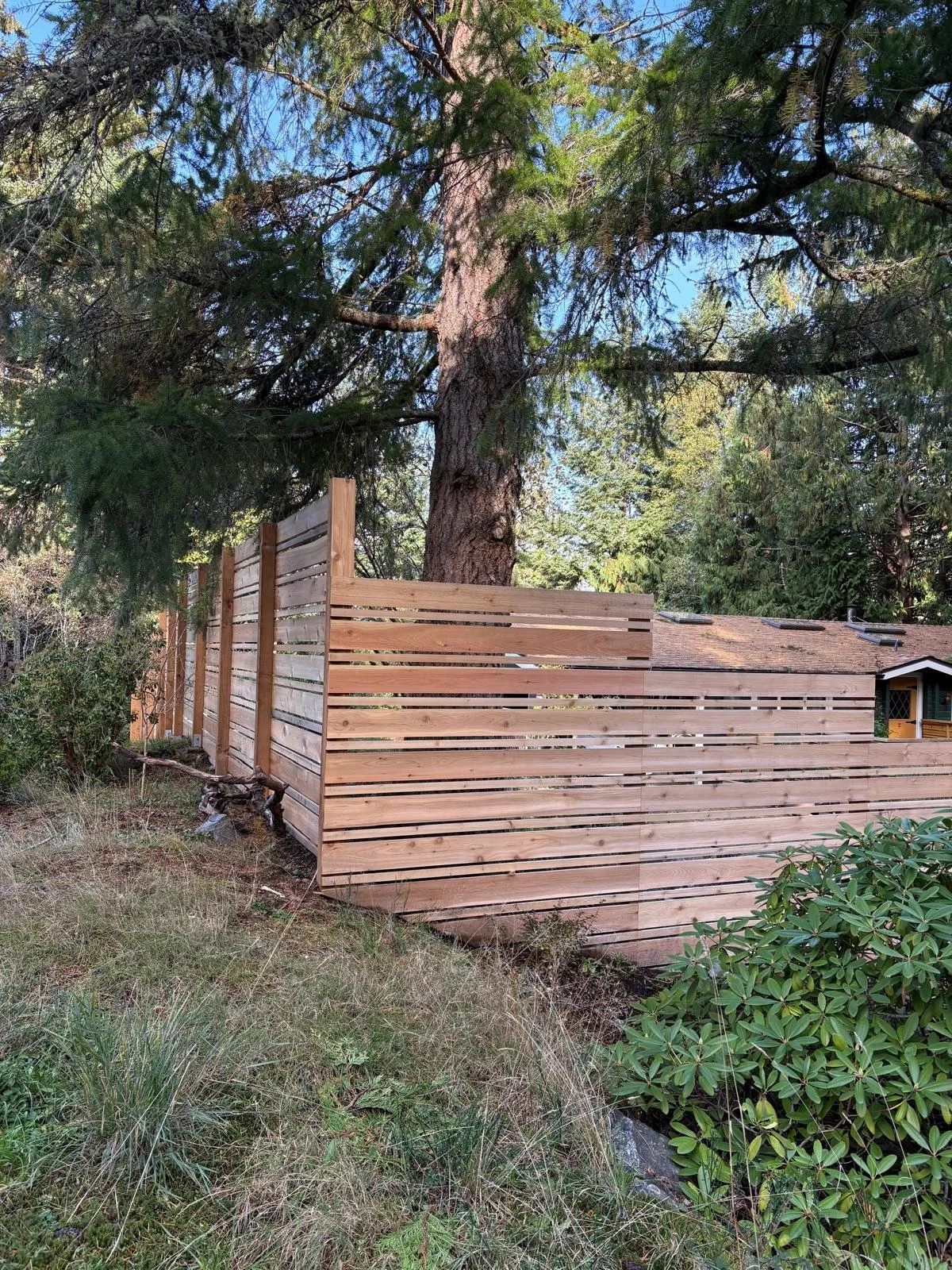 Partially constructed wooden fence in front of a large tree and a house with a shingled roof, surrounded by trees and bushes.