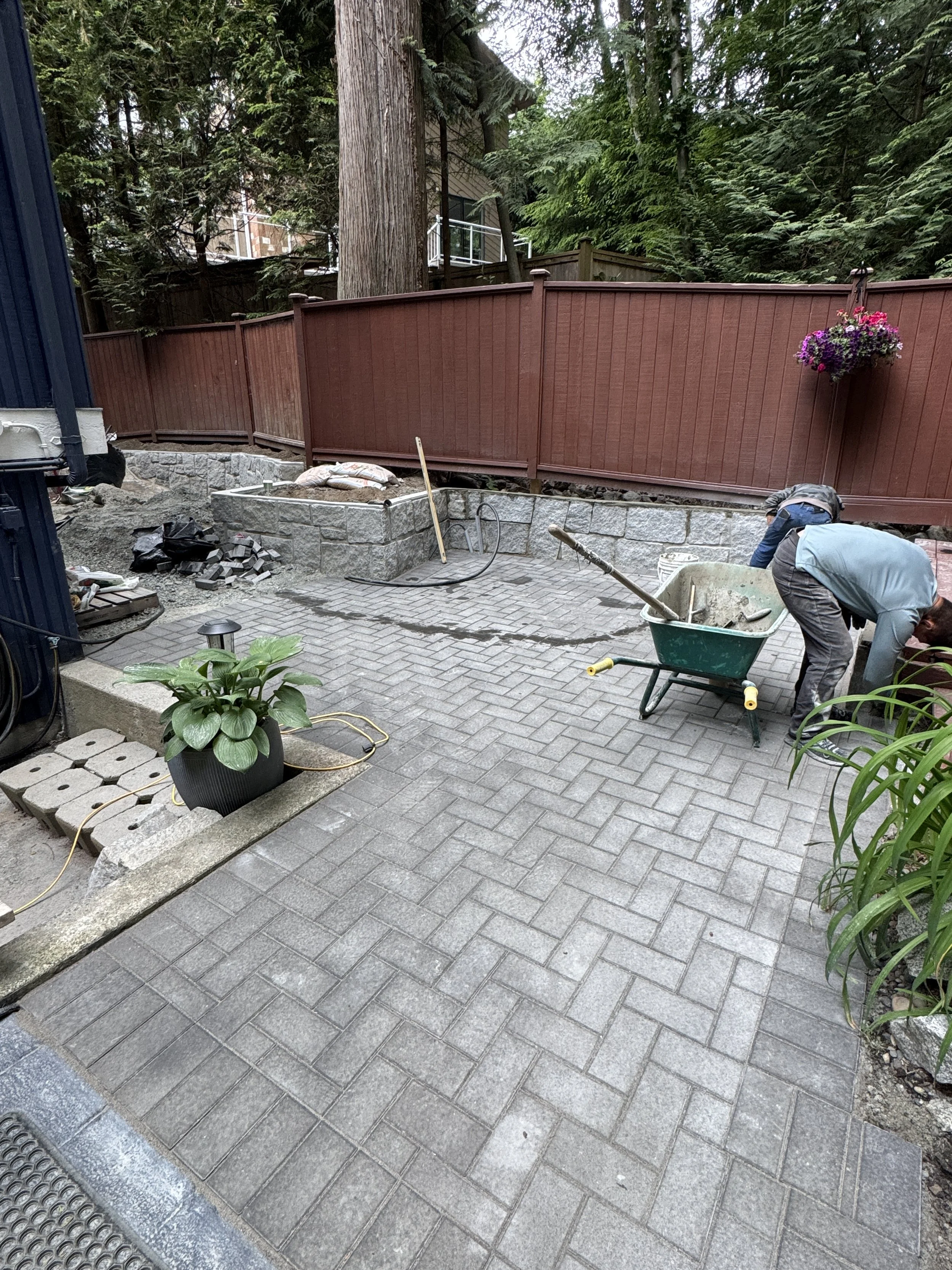 Workers installing or repairing paver patio with sidewalk chalk and wheelbarrow, surrounded by potted plants, construction materials, and tools, in a backyard with a red fence and tall trees.