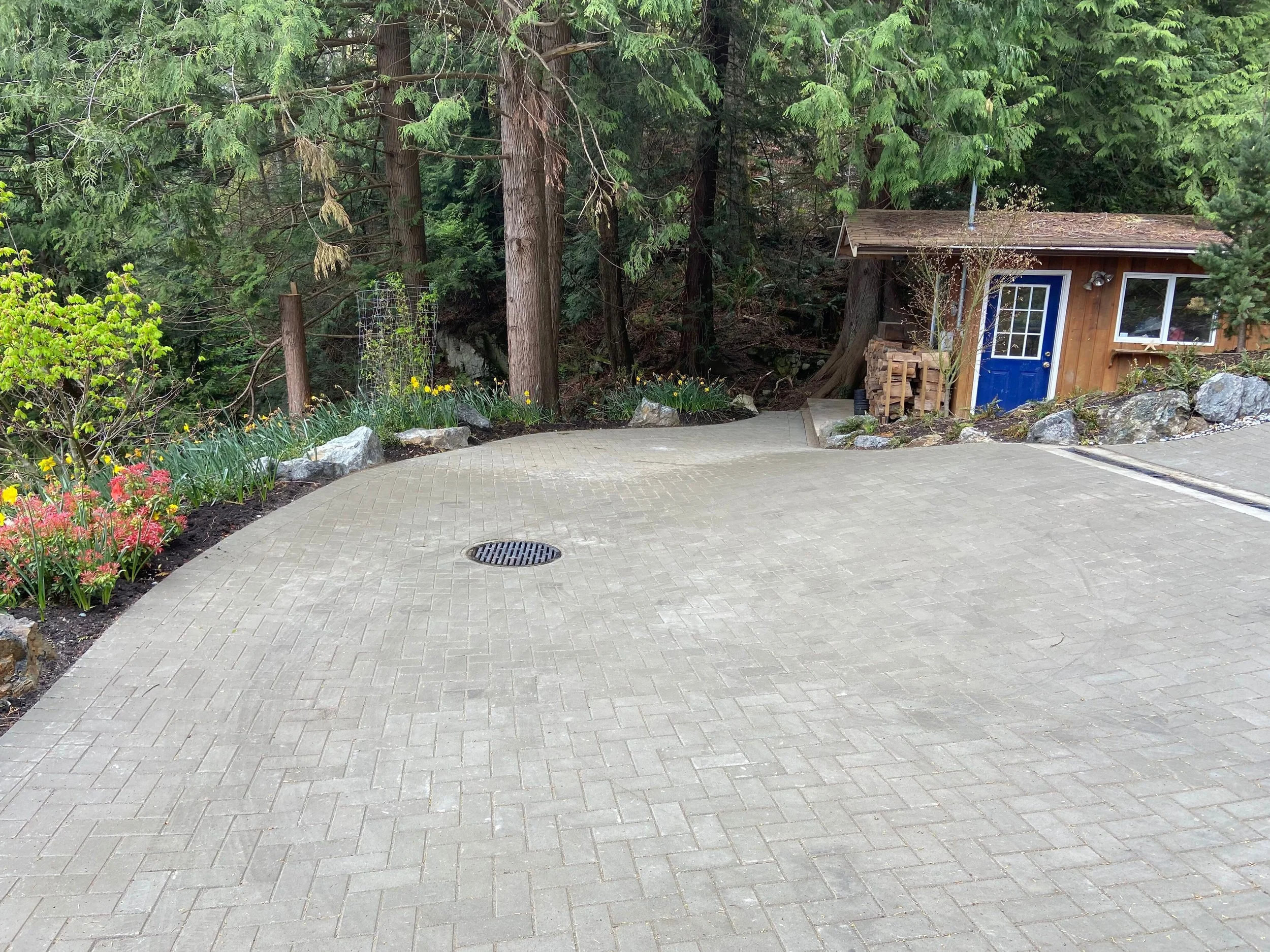 A paved courtyard surrounded by lush green trees and plants, with a wooden shed with a blue door on the right side and rocks along the edge of the garden bed.