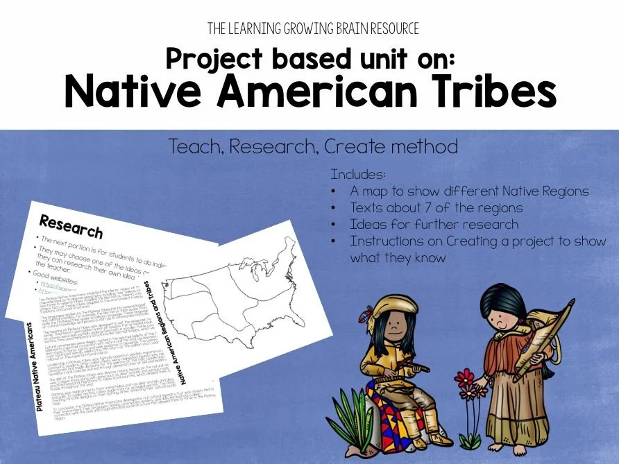 native american cover.JPG