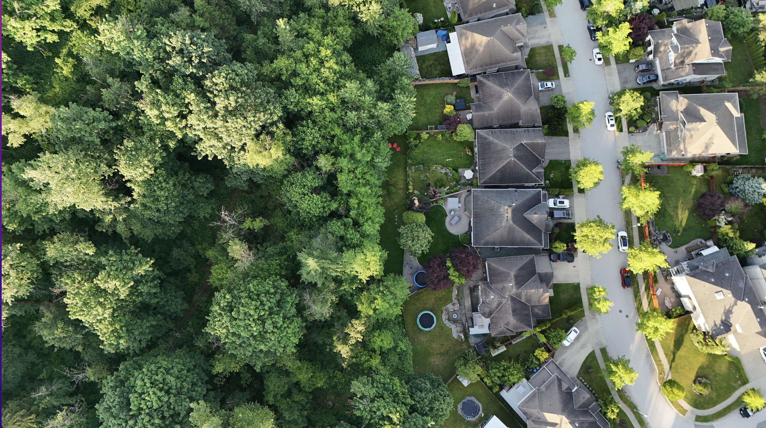 An aerial view of a neighborhood showing several houses, driveways, and a large area of dense green trees on the left side of the image.