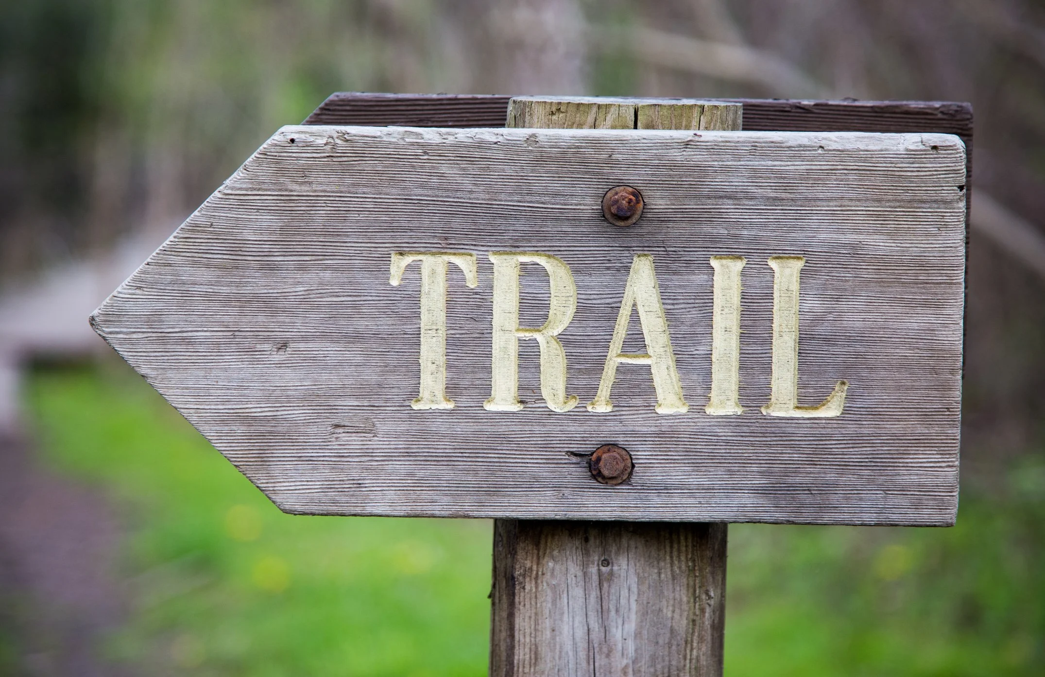 A wooden signpost with the word 'TRAIL' engraved and painted in yellow, mounted on a post, against a blurred outdoor natural background.