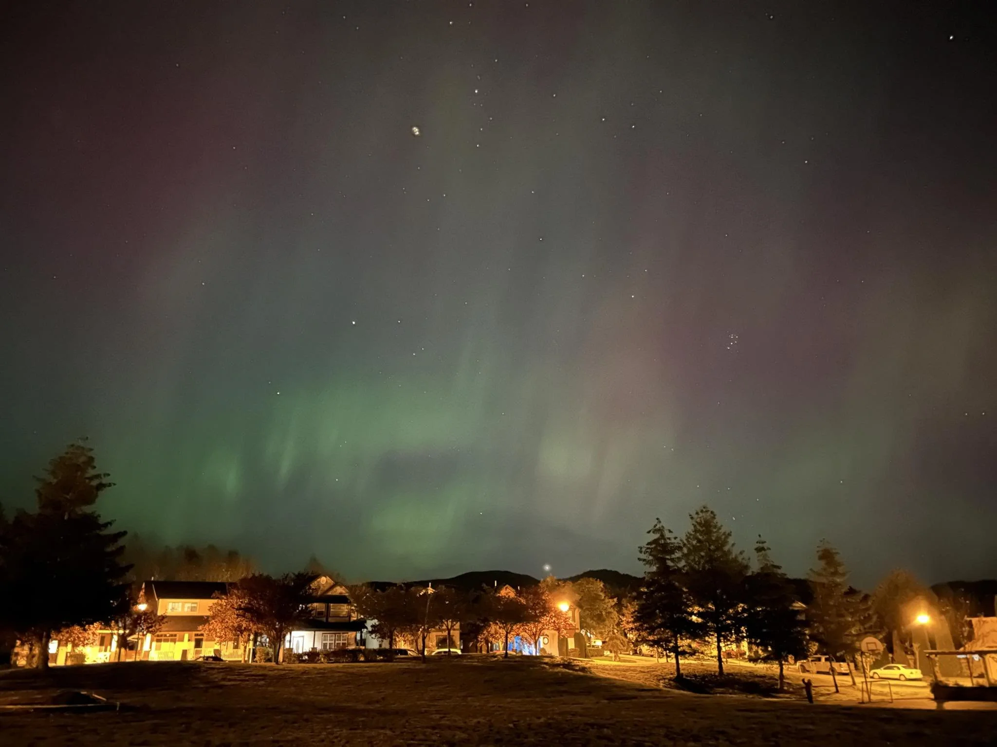 Night sky with visible stars and northern lights illuminating the sky above a residential neighborhood. Trees and houses are silhouetted in the foreground.