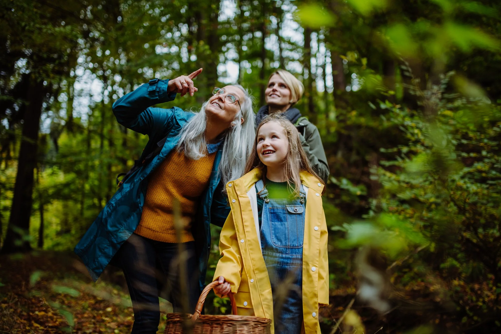 Three people, an older woman, a woman, and a young girl, walk through a forest, looking up and pointing, with a basket on the ground, all smiling.