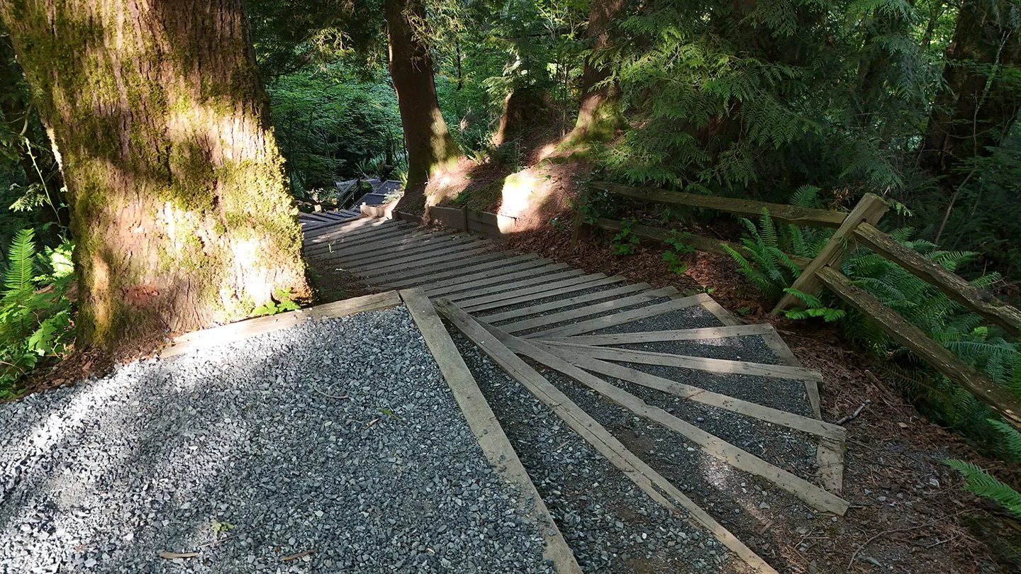 A wooded pathway with wooden stairs and gravel, surrounded by green foliage and trees.