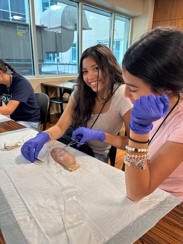 Two young women with purple gloves working in a lab setting.