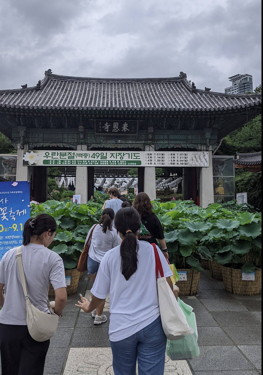 People entering a traditional Korean temple gate surrounded by large potted lotus plants on a cloudy day.