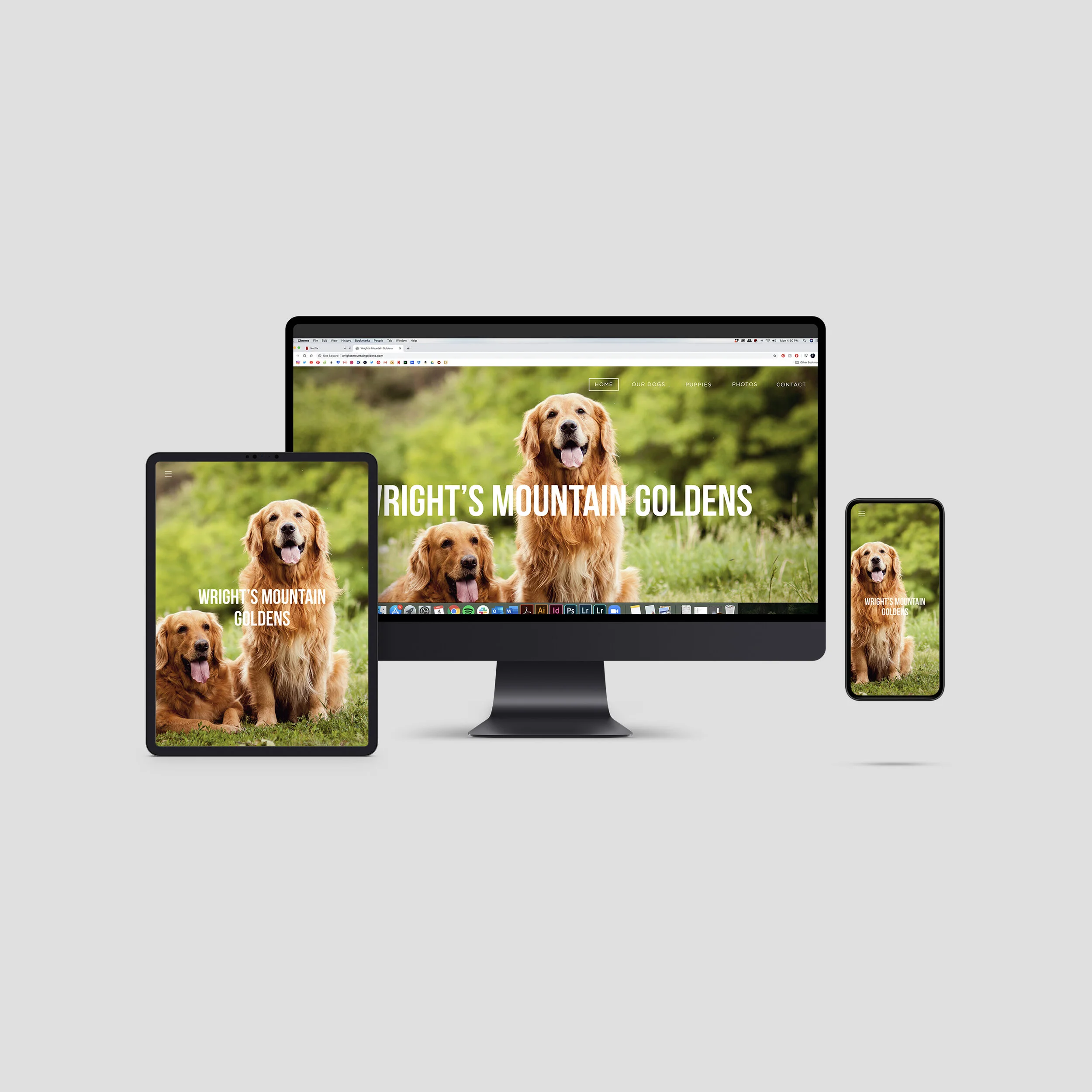 Wright's Mountain Goldens Website