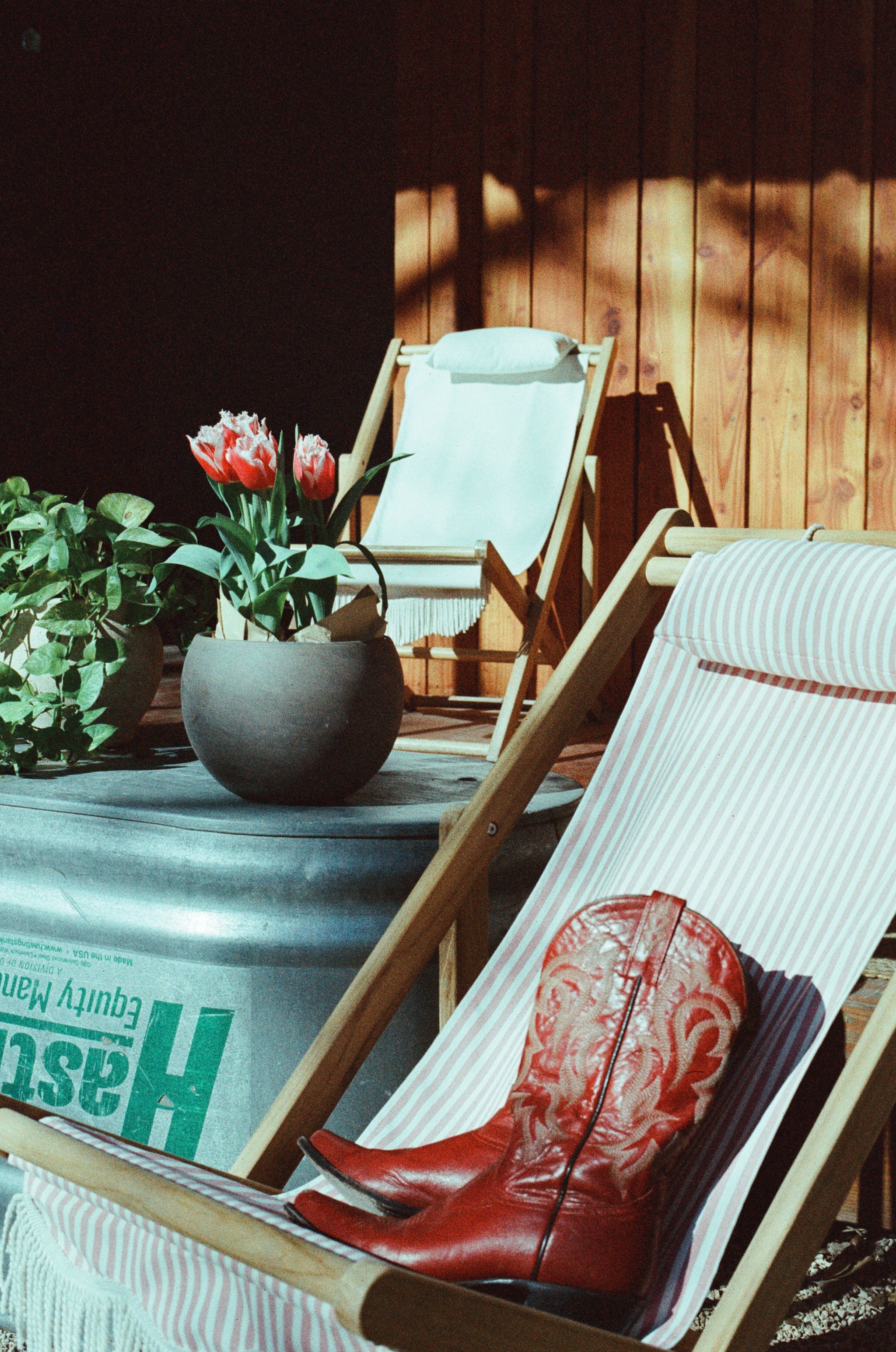 Sunlit outdoor patio with two striped lounge chairs, a potted tulip plant, and a wooden wall background.