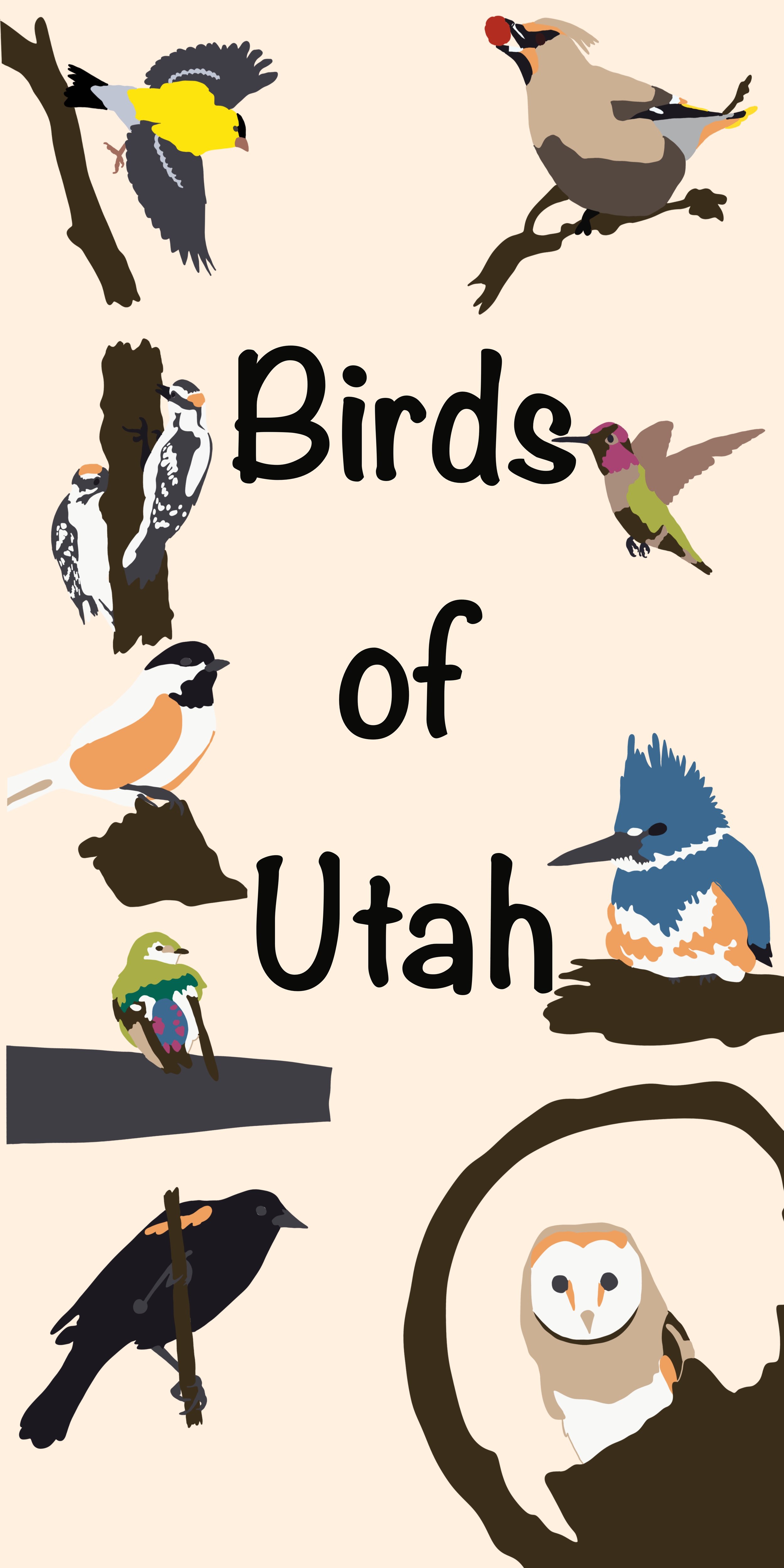 Mural with Multiple Native Birds to Utah