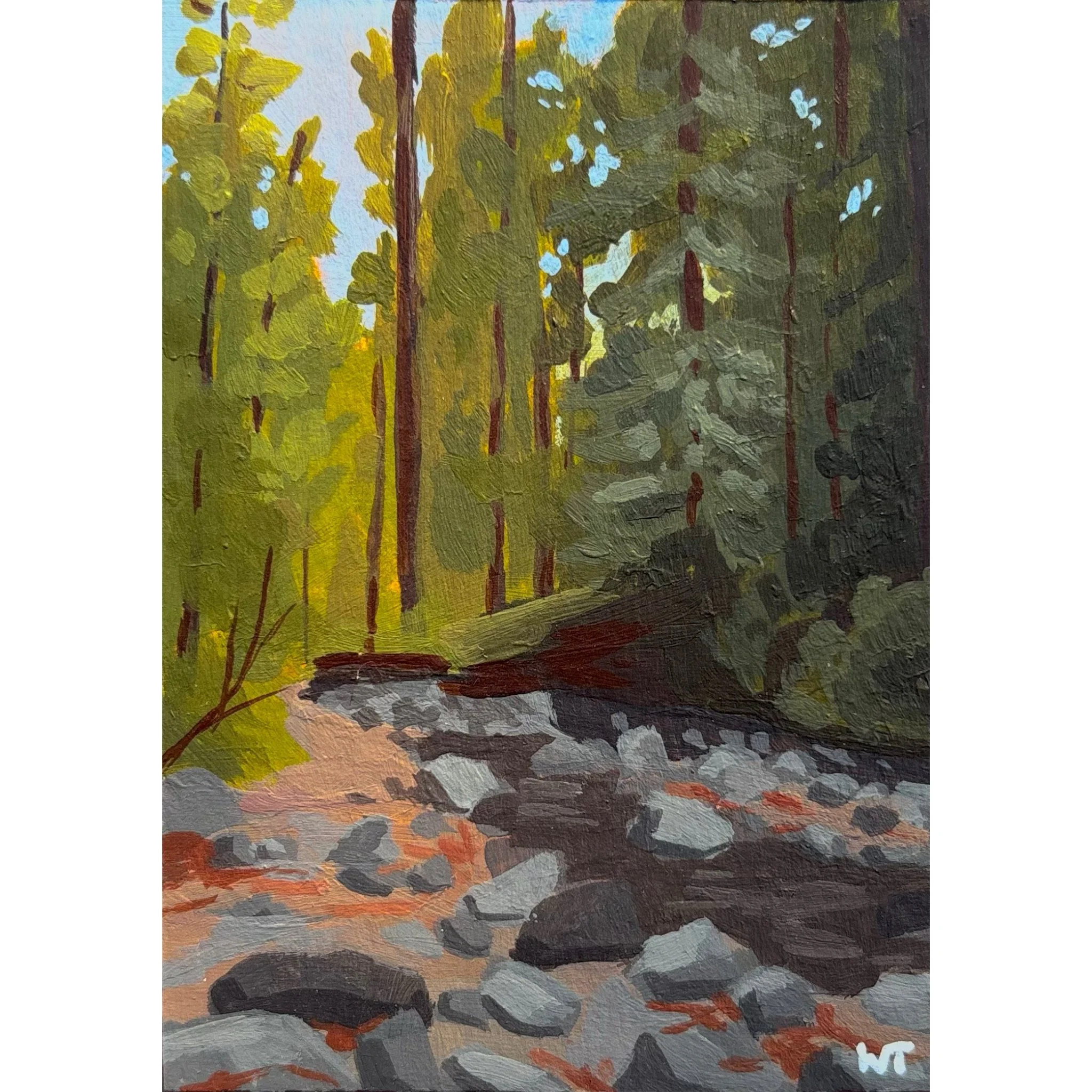 Redwood Stream